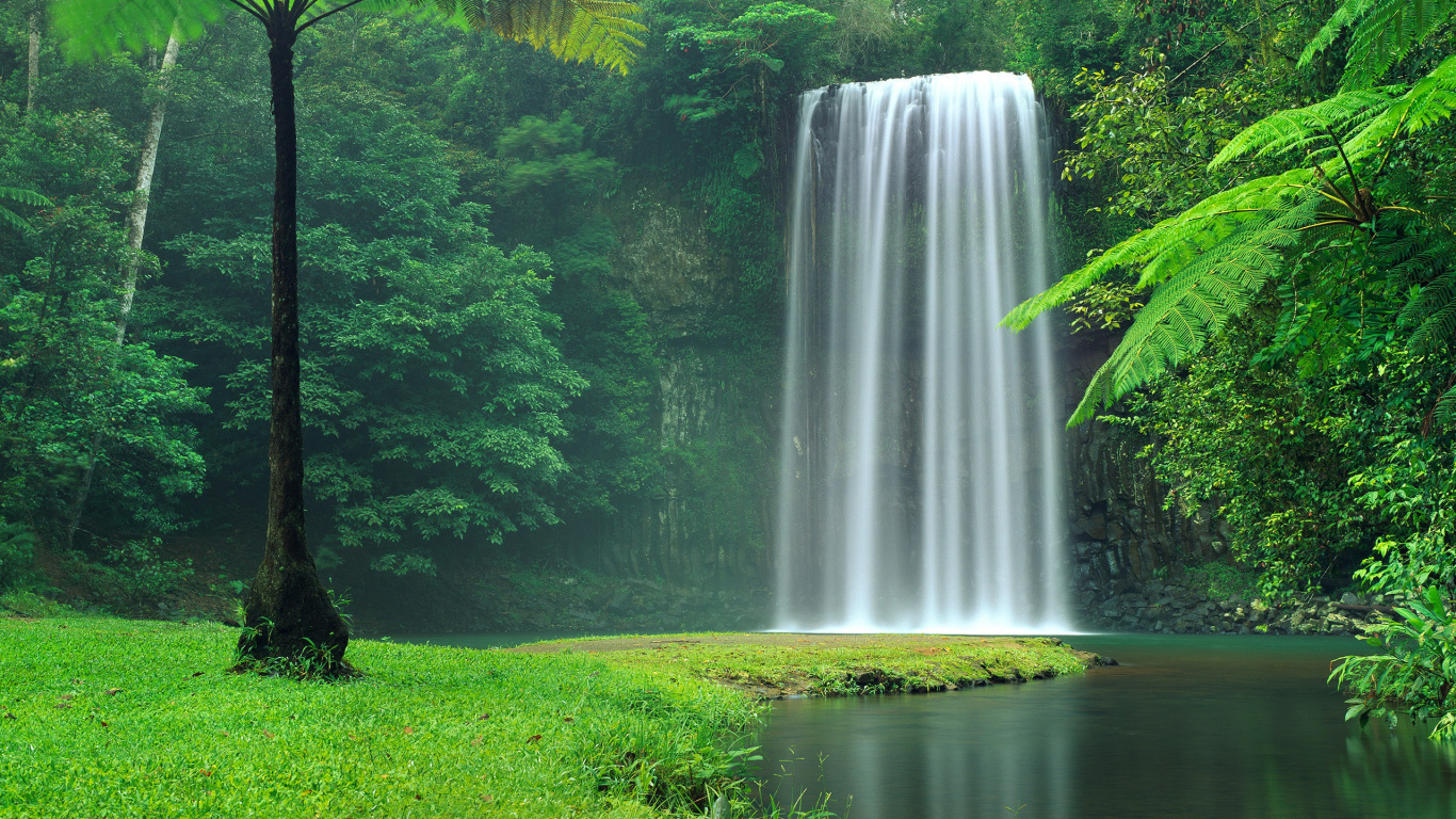Waterfalls in The Middle of Green Grass Field. Wallpaper in 1366x768 Resolution