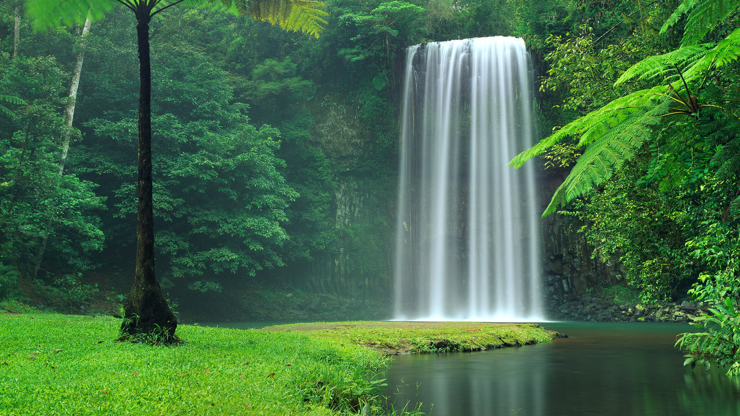 Waterfalls in The Middle of Green Grass Field. Wallpaper in 2560x1440 Resolution