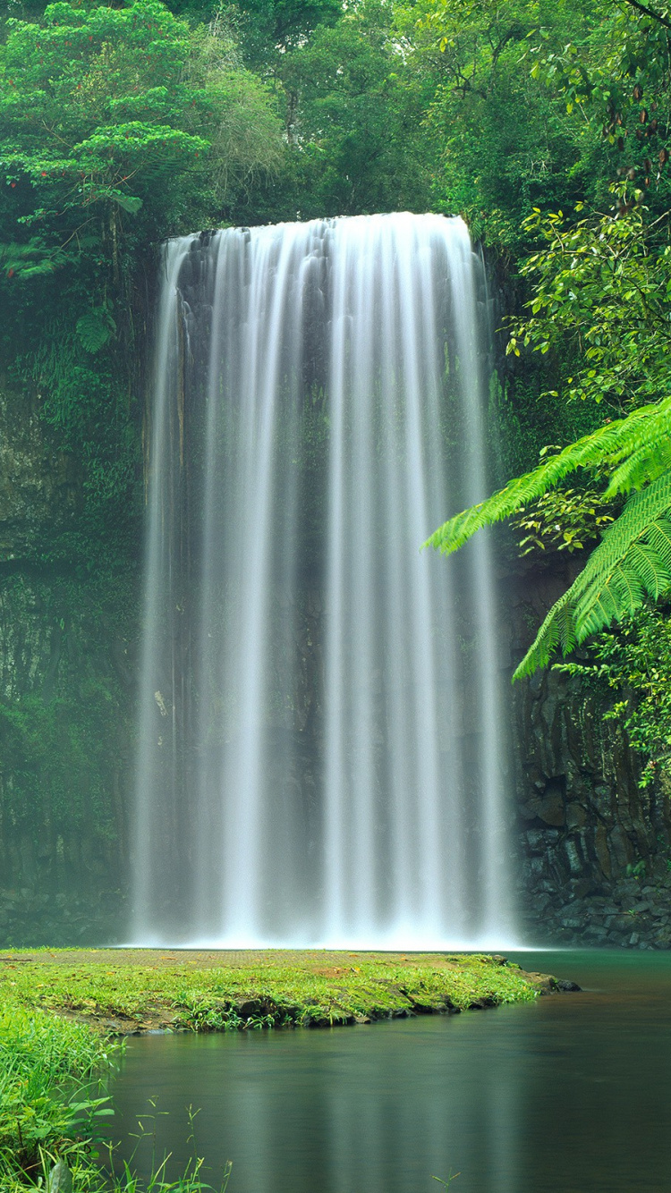 米拉米拉米拉米拉瀑布, 水资源, 性质, 人体内的水, 自然保护区 壁纸 750x1334 允许