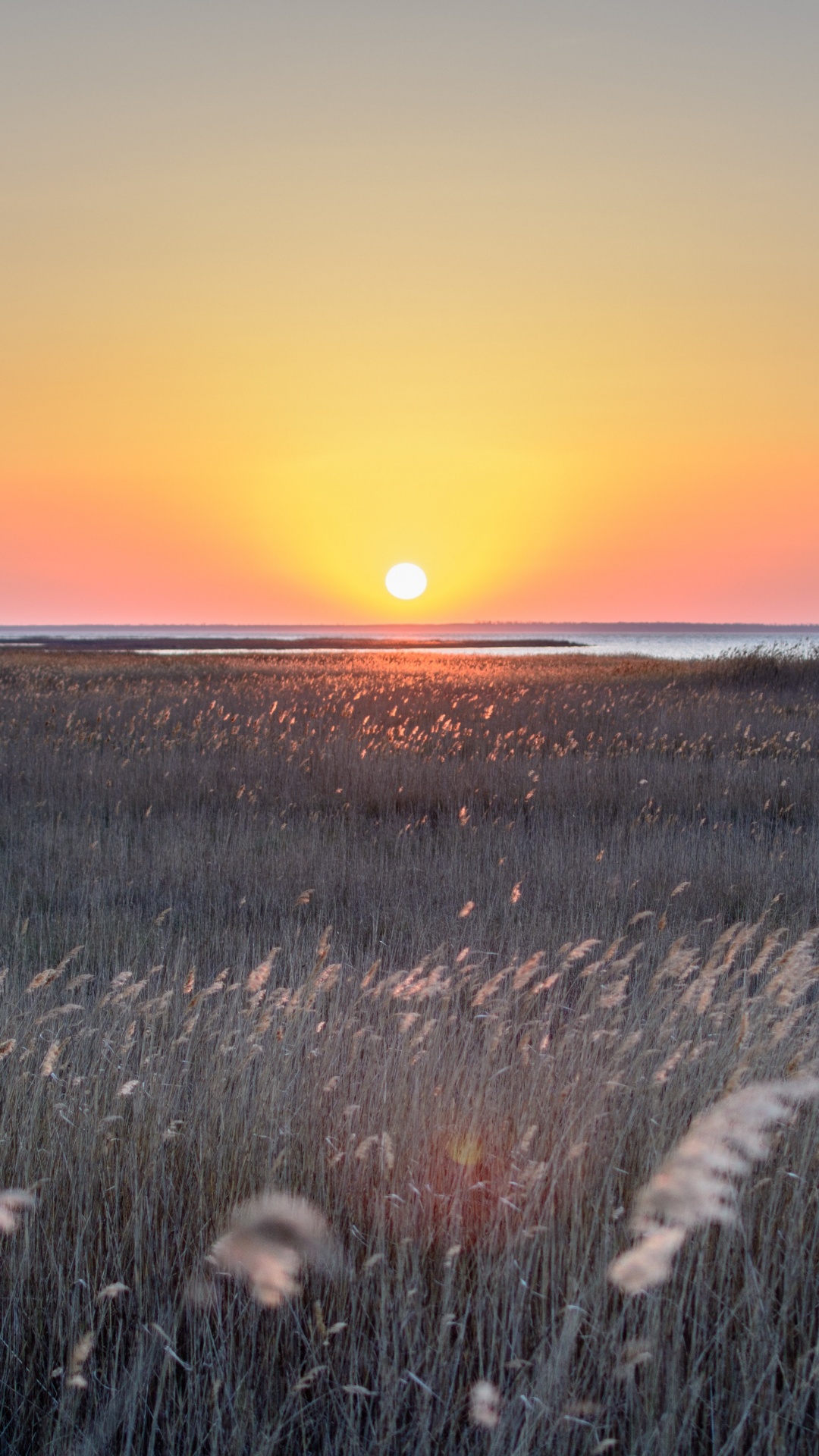 Sonnenuntergang, Horizont, Naturlandschaft, Sonnenaufgang, Natürlichen Umgebung. Wallpaper in 1080x1920 Resolution