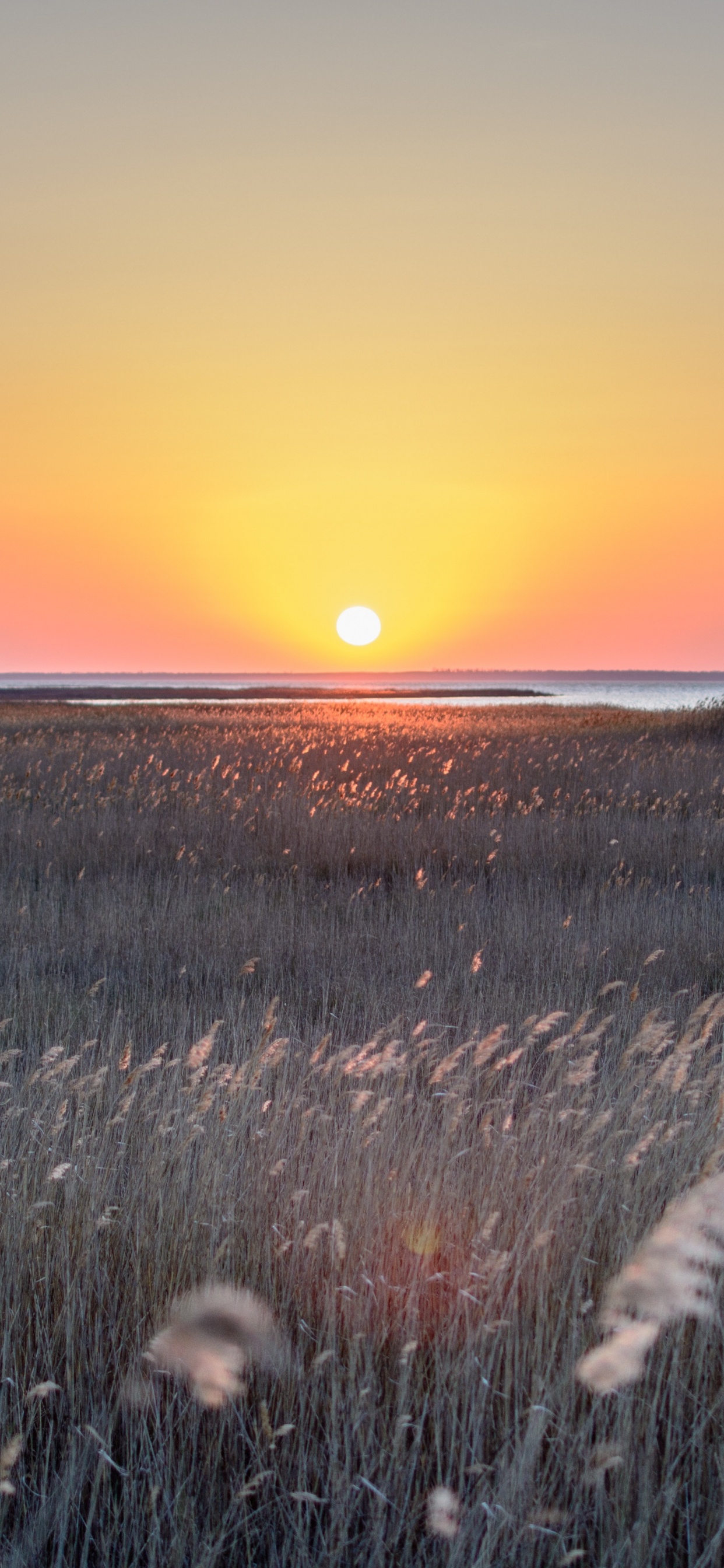 Sonnenuntergang, Horizont, Naturlandschaft, Sonnenaufgang, Natürlichen Umgebung. Wallpaper in 1242x2688 Resolution