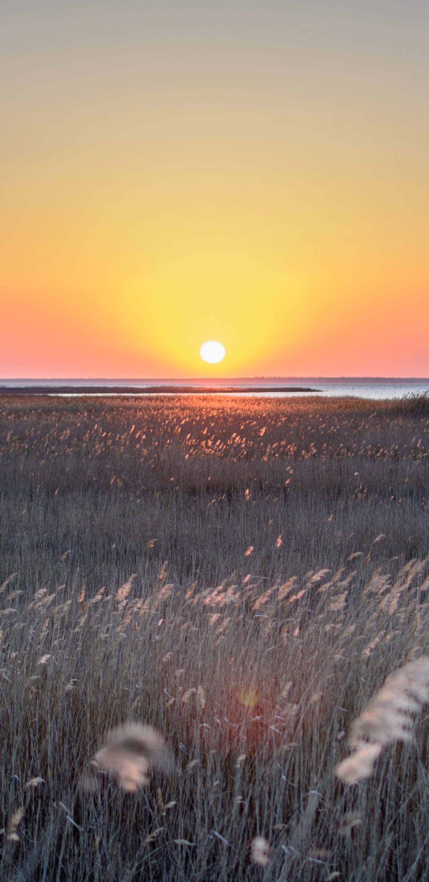 Sunset, Horizon, Natural Landscape, Sunrise, Natural Environment. Wallpaper in 1440x2960 Resolution