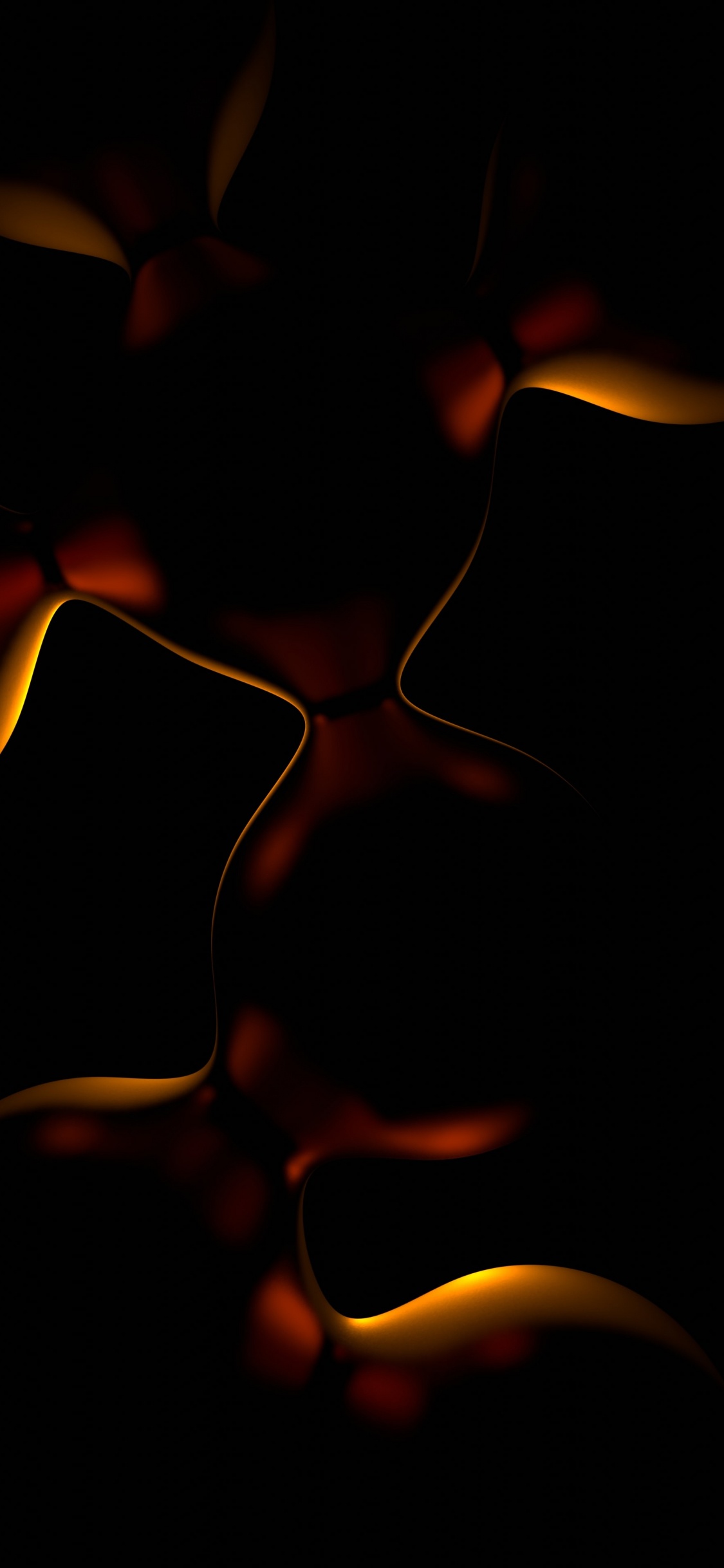 Darkness, Petal, Tints and Shades, Art, Terrestrial Plant. Wallpaper in 1125x2436 Resolution