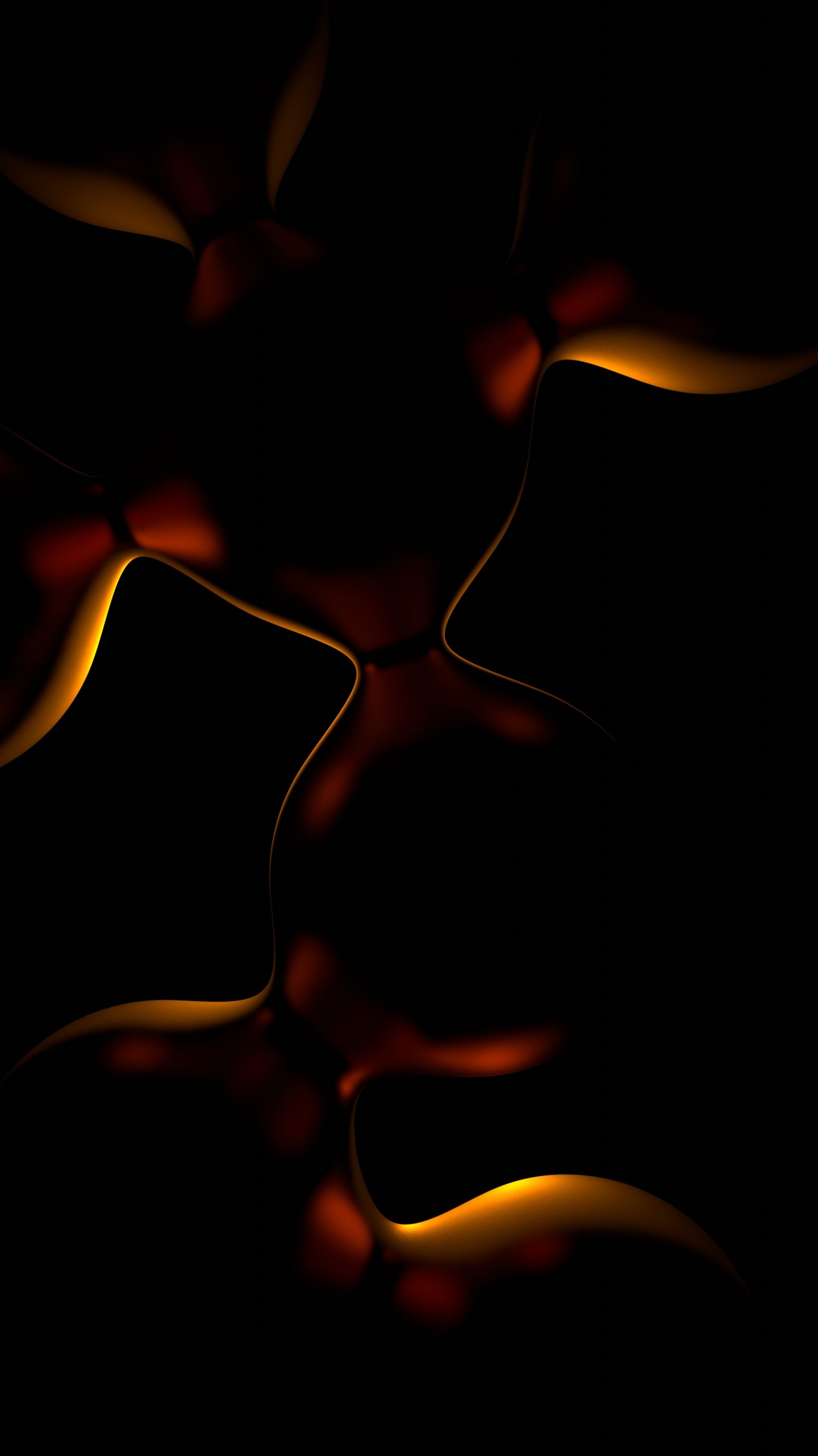 Darkness, Petal, Tints and Shades, Art, Terrestrial Plant. Wallpaper in 1440x2560 Resolution