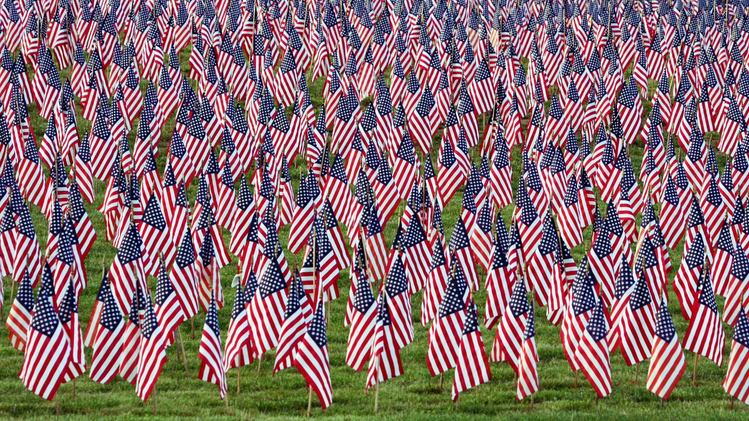 Textile Rouge Bleu et Blanc. Wallpaper in 2560x1440 Resolution