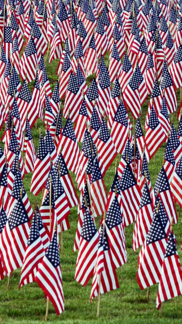 Red Blue and White Textile. Wallpaper in 720x1280 Resolution