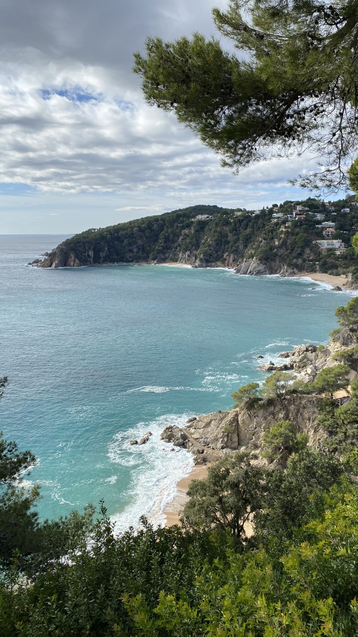 Coast, Body of Water, Vegetation, Ocean, Shore. Wallpaper in 720x1280 Resolution