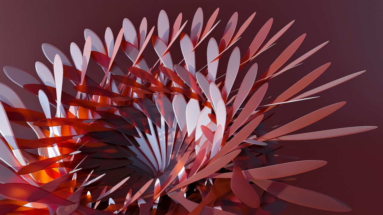 Frère Opposant, Pétale, Art, de Teintes et de Nuances, Événement. Wallpaper in 1280x720 Resolution