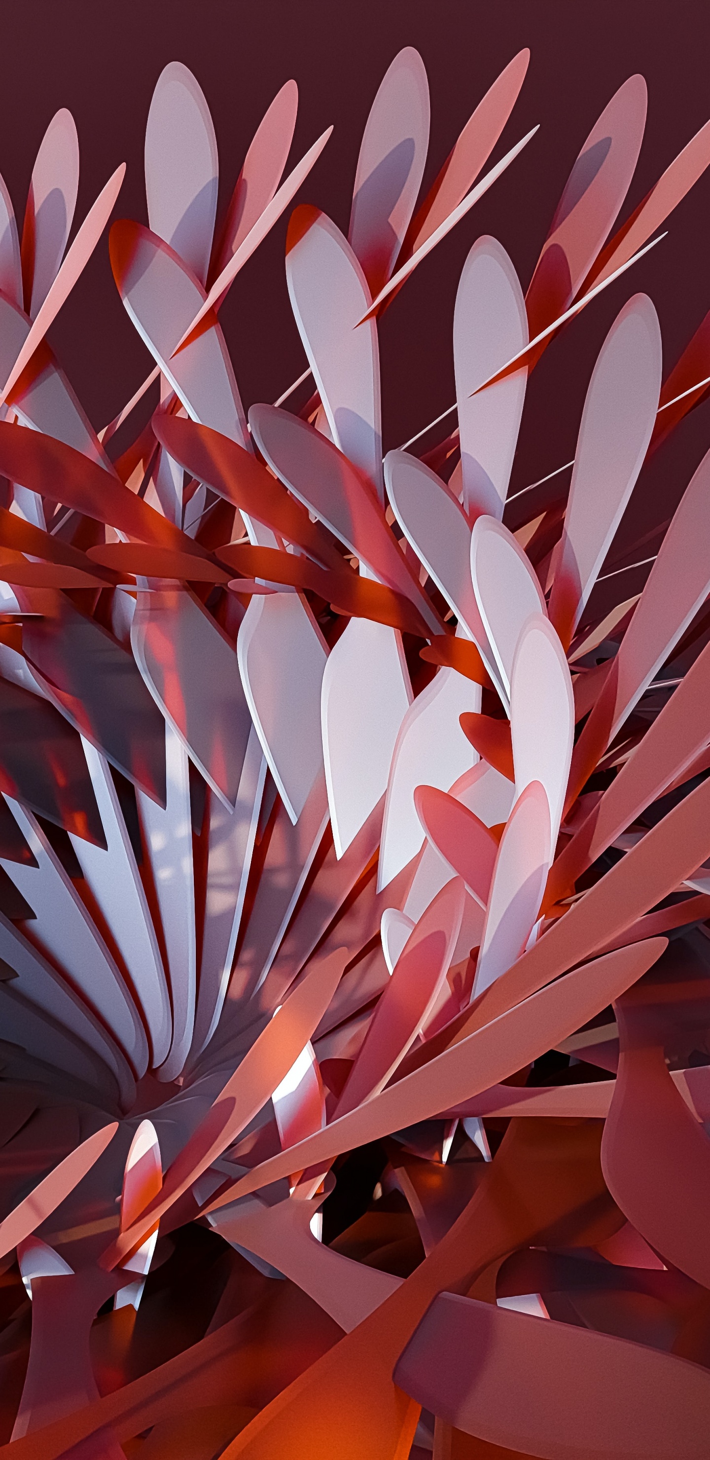 Frère Opposant, Pétale, Art, de Teintes et de Nuances, Événement. Wallpaper in 1440x2960 Resolution