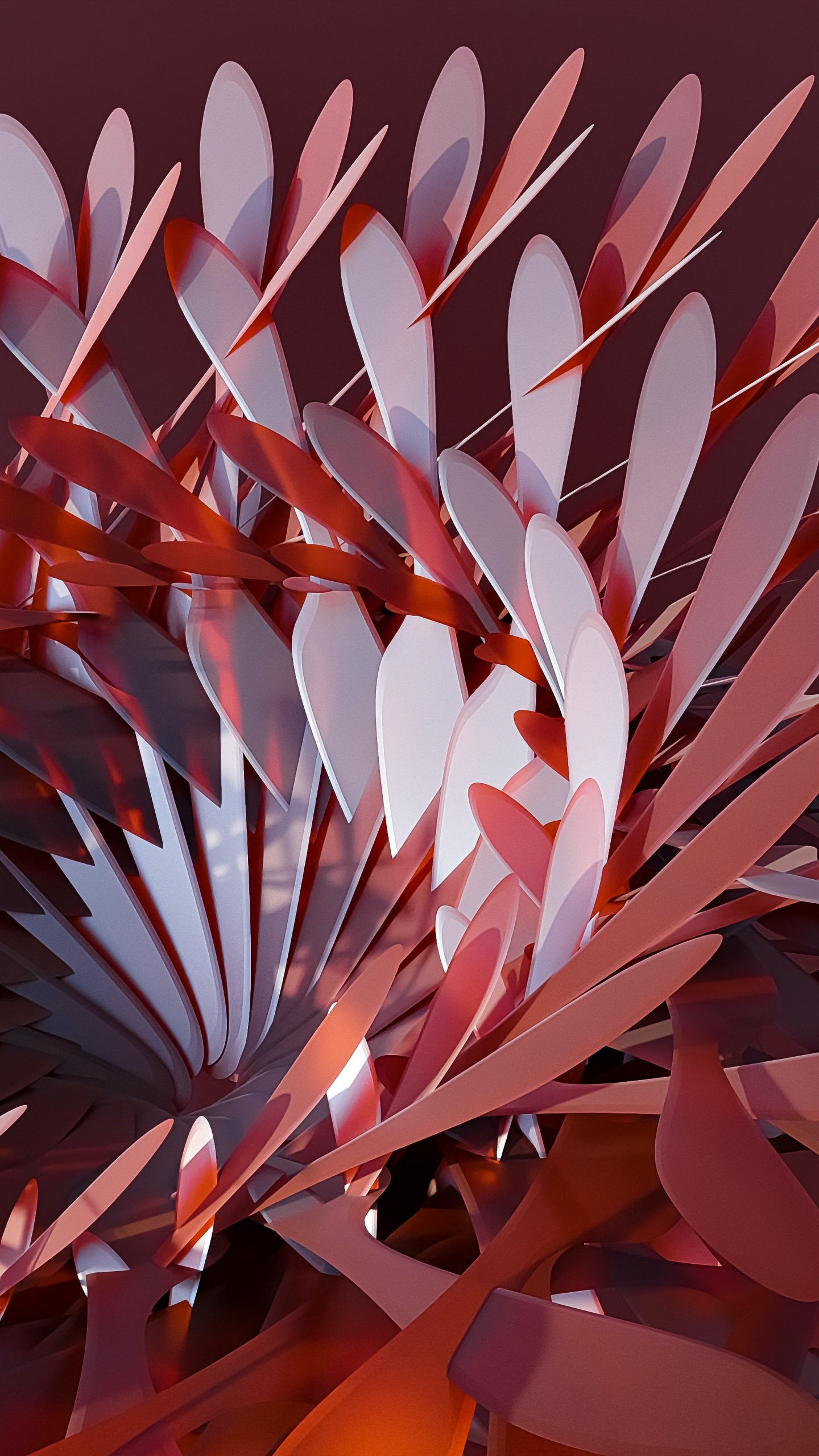 Oppositioneller Bruder, Blütenblatt, Kunst, Farbtöne Und Schattierungen, Veranstaltung. Wallpaper in 1440x2560 Resolution