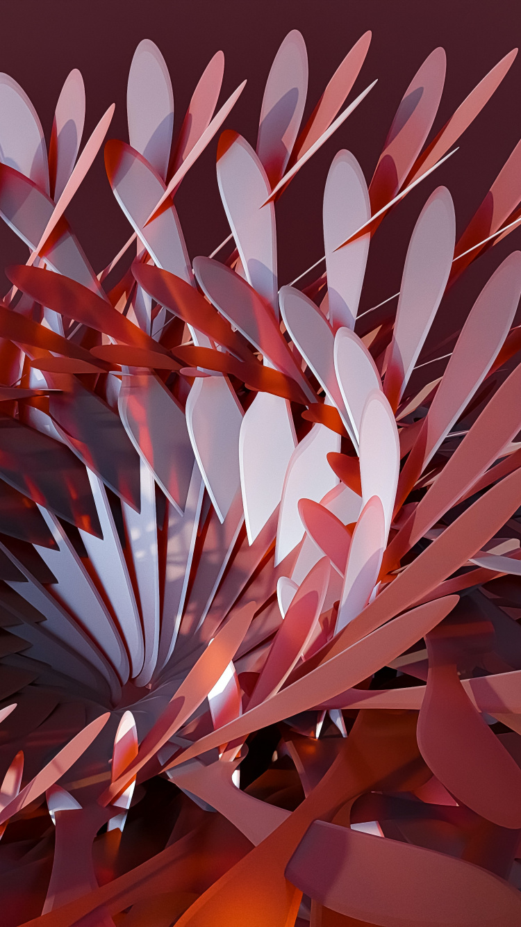 Oppositioneller Bruder, Blütenblatt, Kunst, Farbtöne Und Schattierungen, Veranstaltung. Wallpaper in 750x1334 Resolution