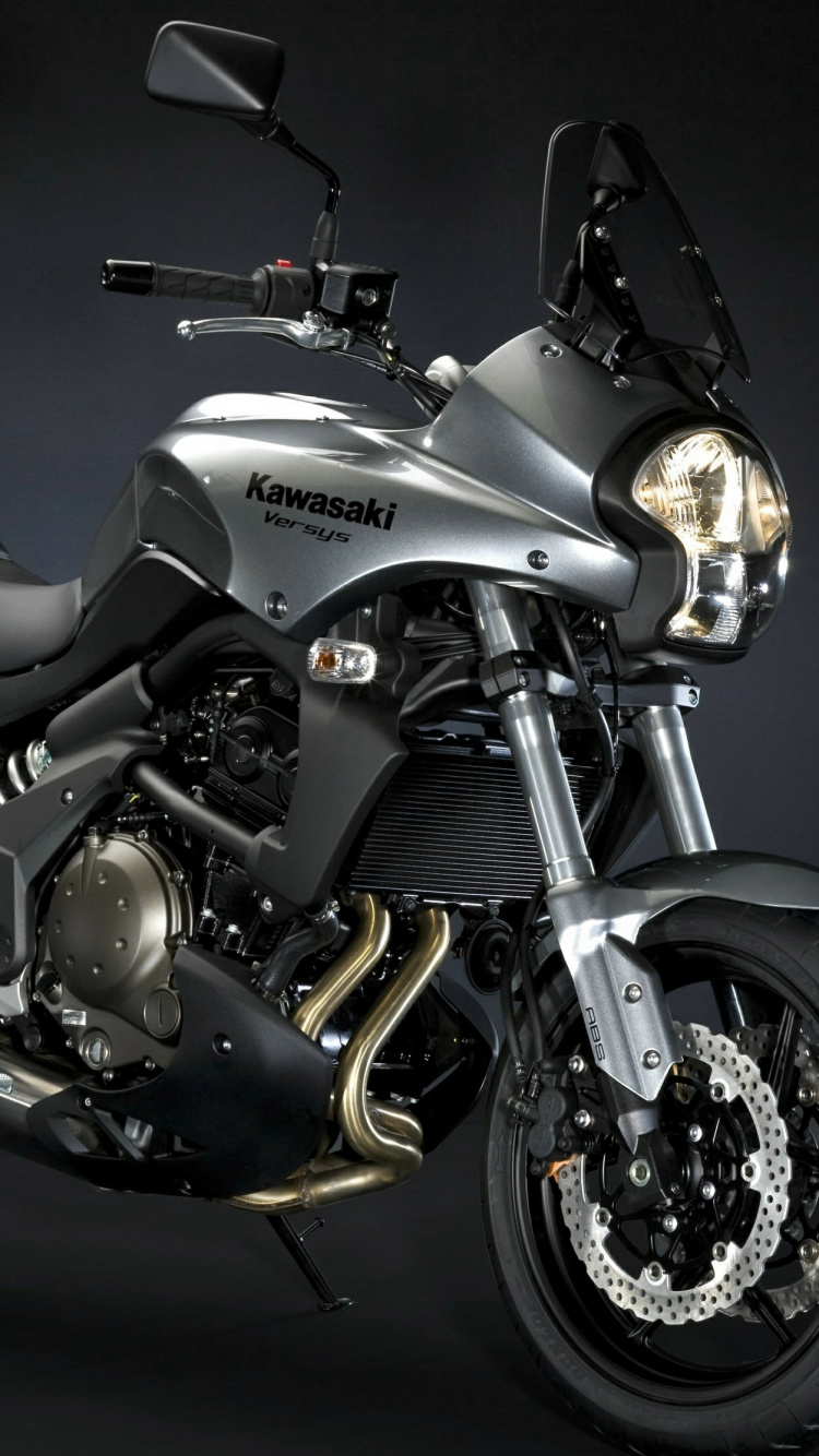 Moto Cruiser Noir et Argent. Wallpaper in 750x1334 Resolution