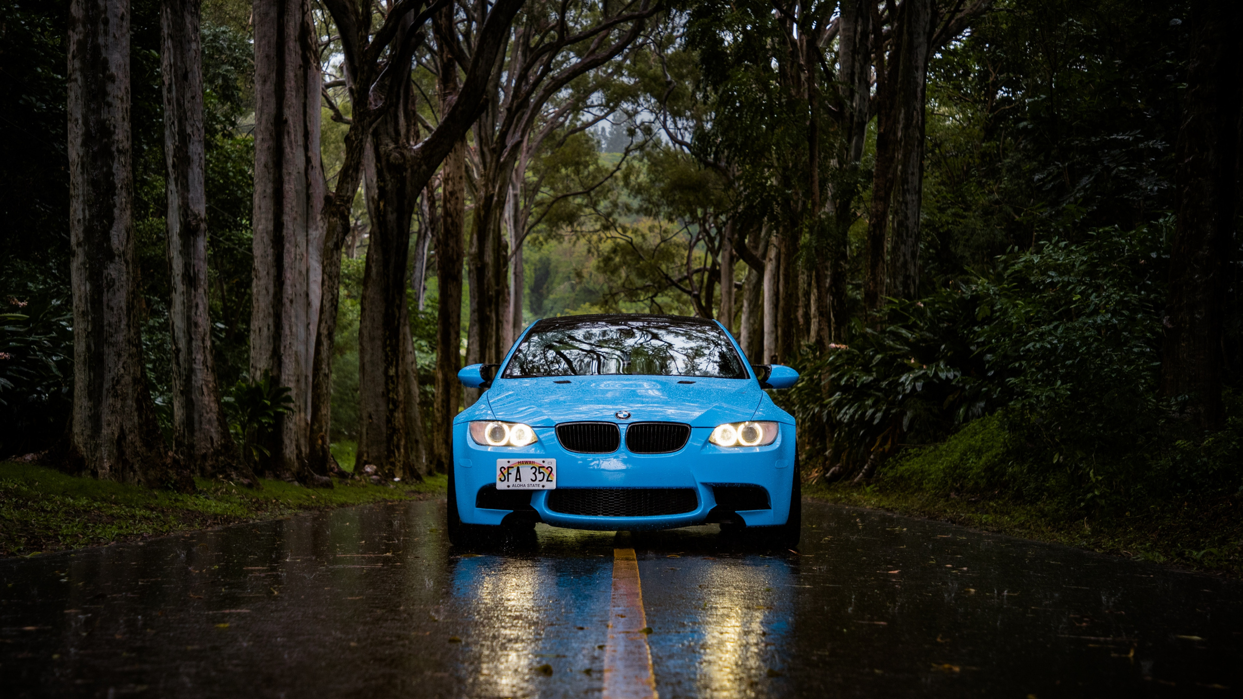 Voiture Bleue Sur la Rivière Entre Les Arbres Pendant la Journée. Wallpaper in 2560x1440 Resolution