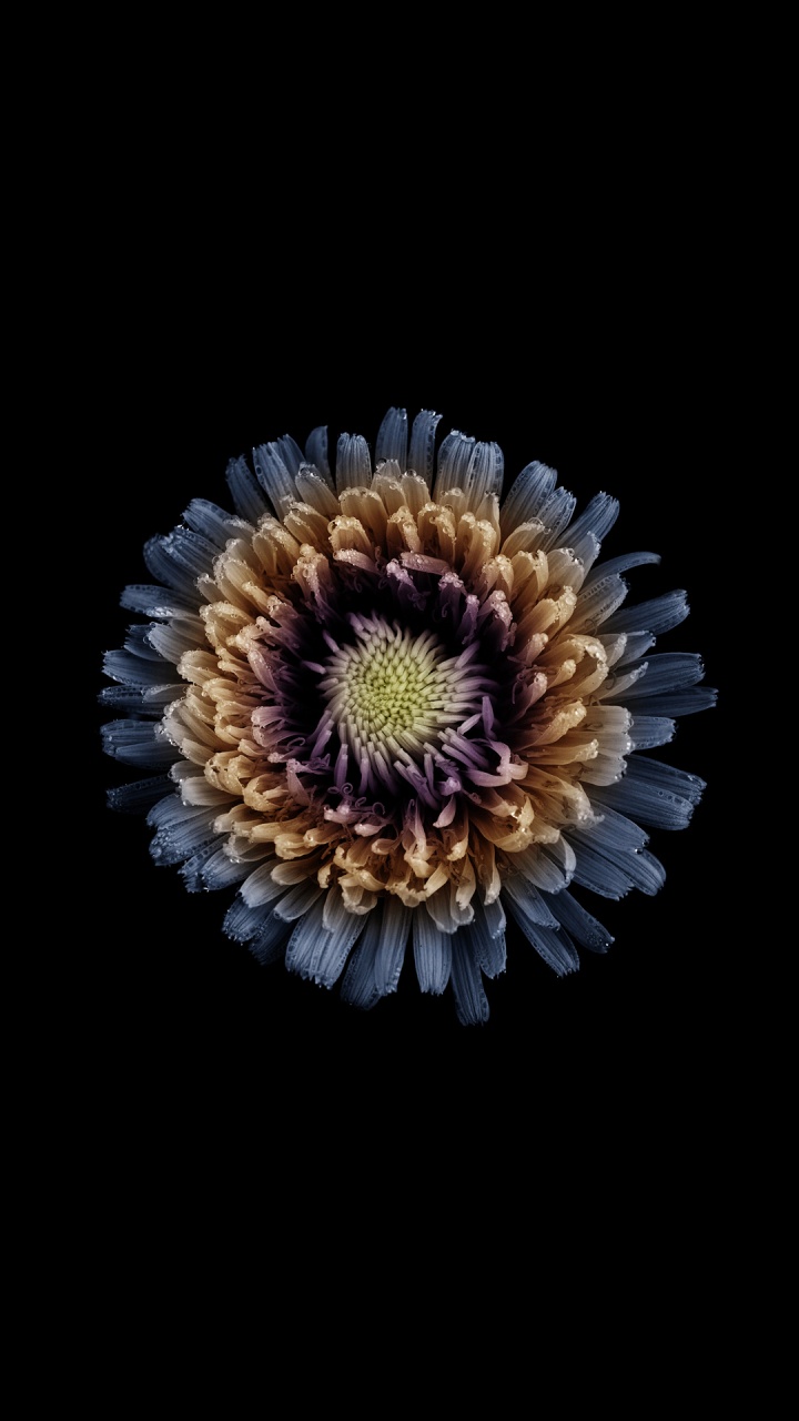  Infinix Note 4, Infinix笔记3, Infinix Note4, 智能手机, Infinix热门5 壁纸 720x1280 允许