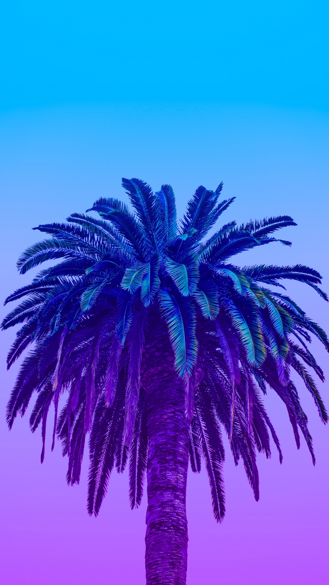 Neon Palm Leaves, Leaf, Tree, Azure, Plant. Wallpaper in 1080x1920 Resolution