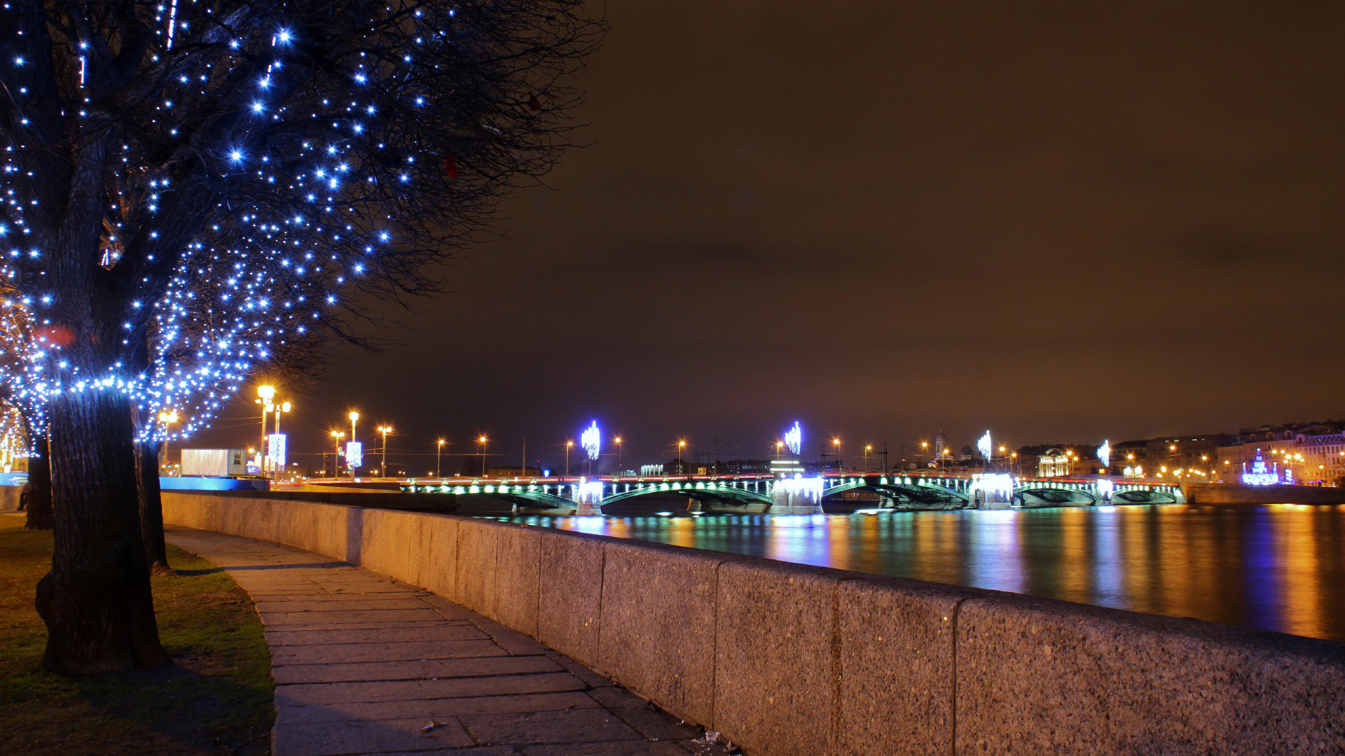 Guirlandes Lumineuses Sur Parc Près D'un Plan D'eau Pendant la Nuit. Wallpaper in 1920x1080 Resolution