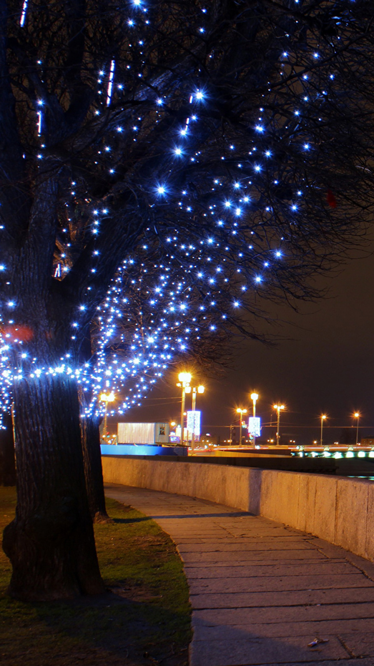 Guirlandes Lumineuses Sur Parc Près D'un Plan D'eau Pendant la Nuit. Wallpaper in 750x1334 Resolution