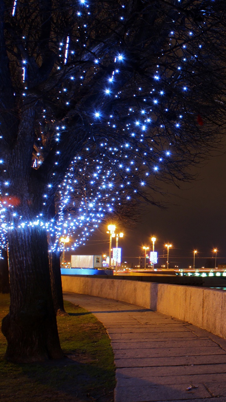 Lighted String Lights on Park Near Body of Water During Night Time. Wallpaper in 720x1280 Resolution