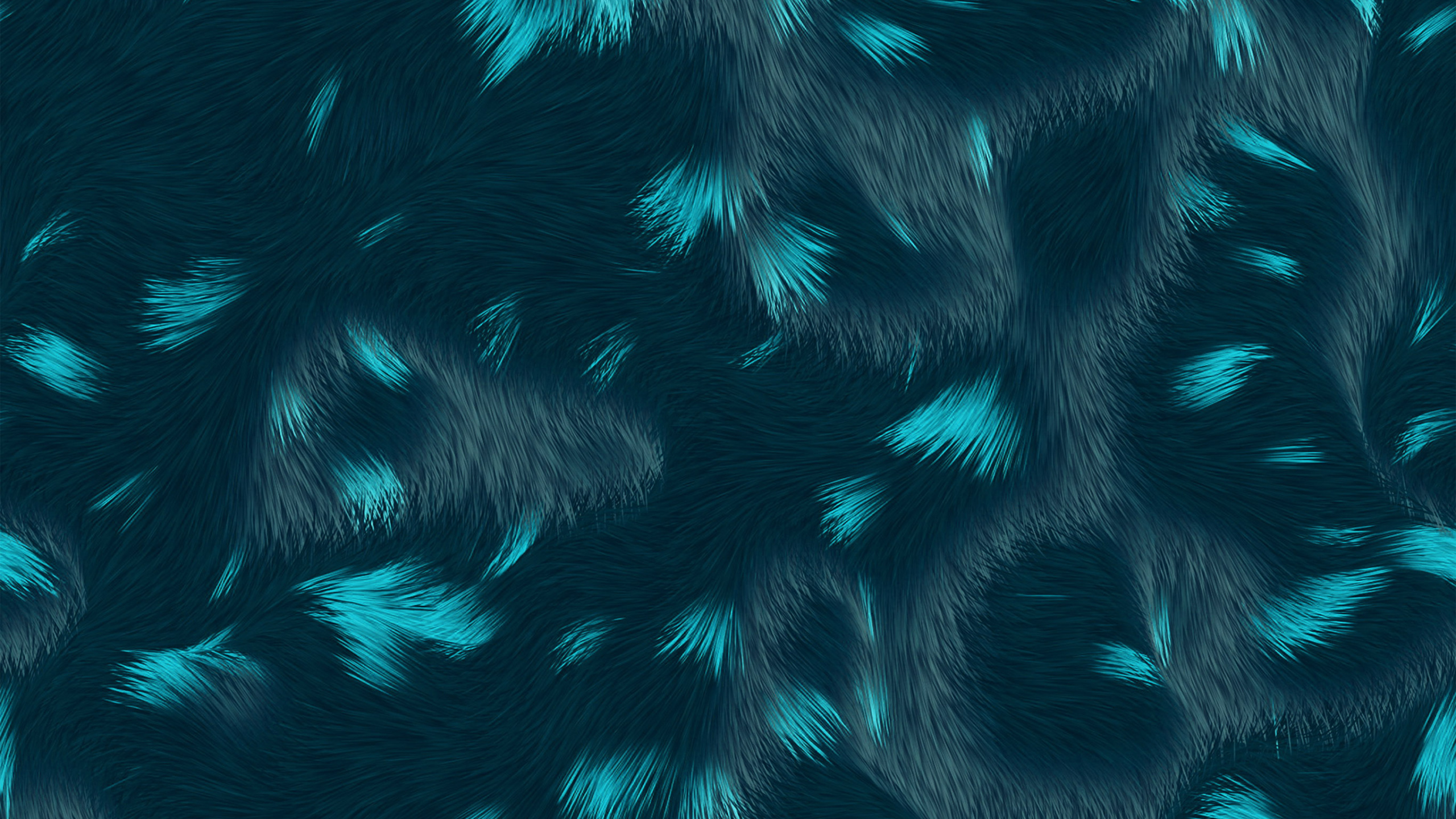 电蓝色的, 皮毛, 皮埃罗, 羽毛, 水下 壁纸 2560x1440 允许