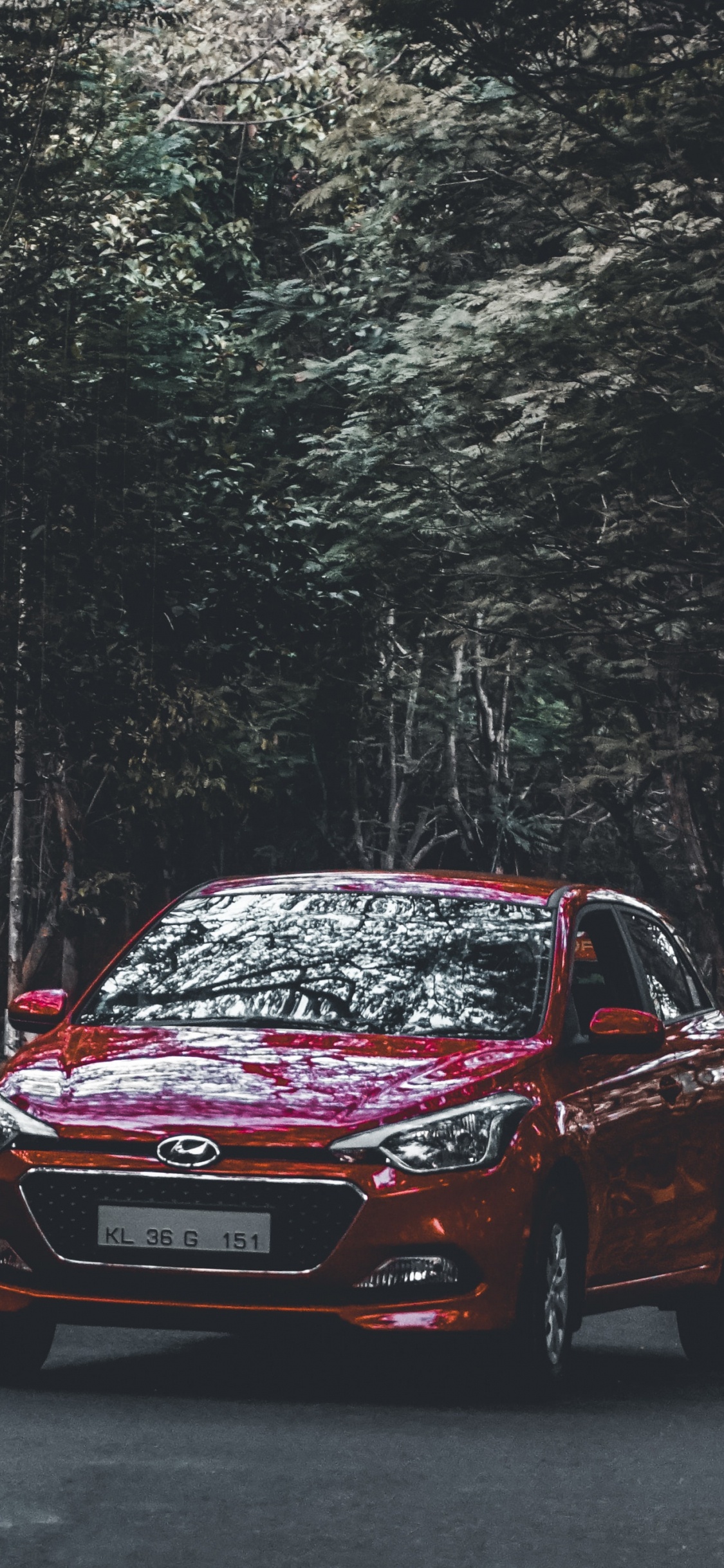 Red Honda Car on Road in Between Trees During Daytime. Wallpaper in 1125x2436 Resolution