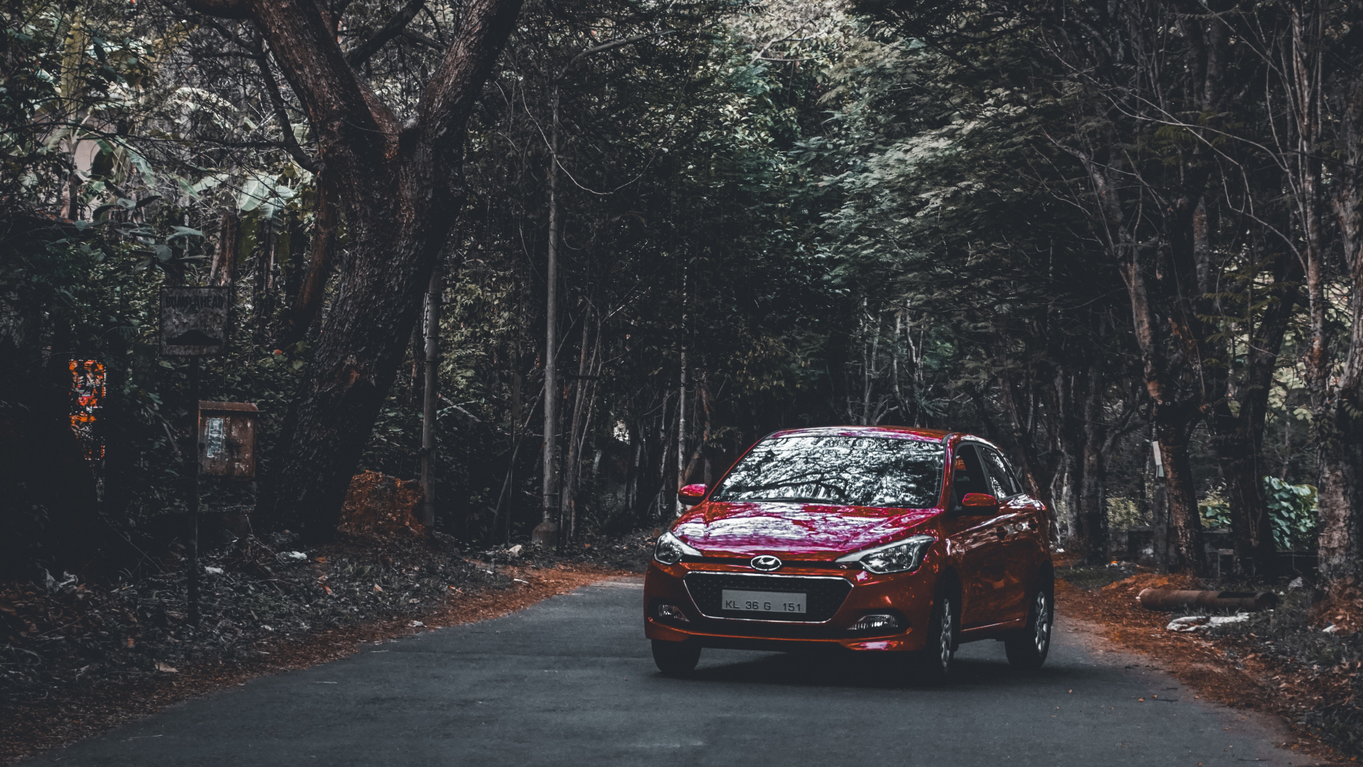Red Honda Car on Road in Between Trees During Daytime. Wallpaper in 1920x1080 Resolution