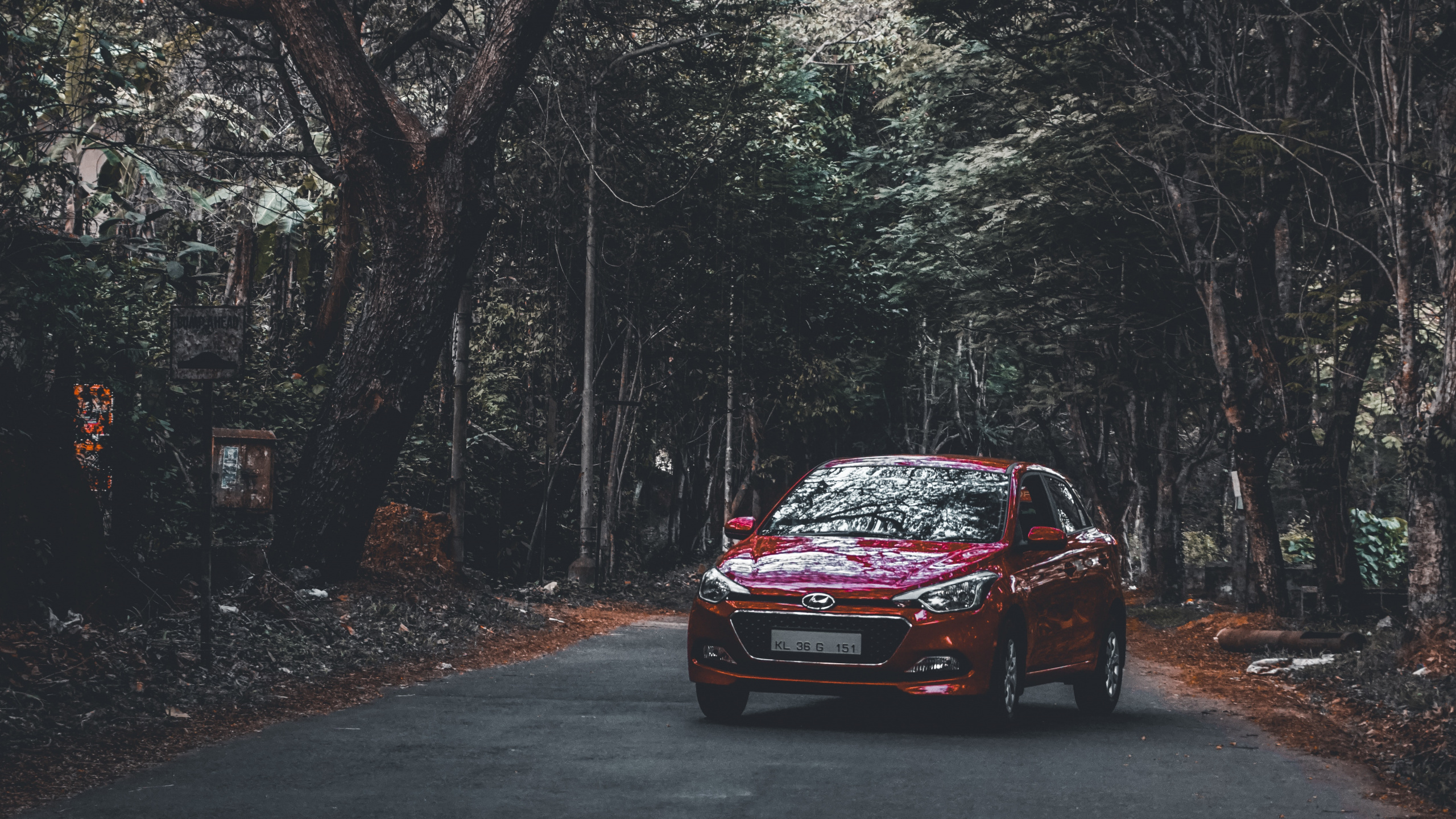 Red Honda Car on Road in Between Trees During Daytime. Wallpaper in 2560x1440 Resolution