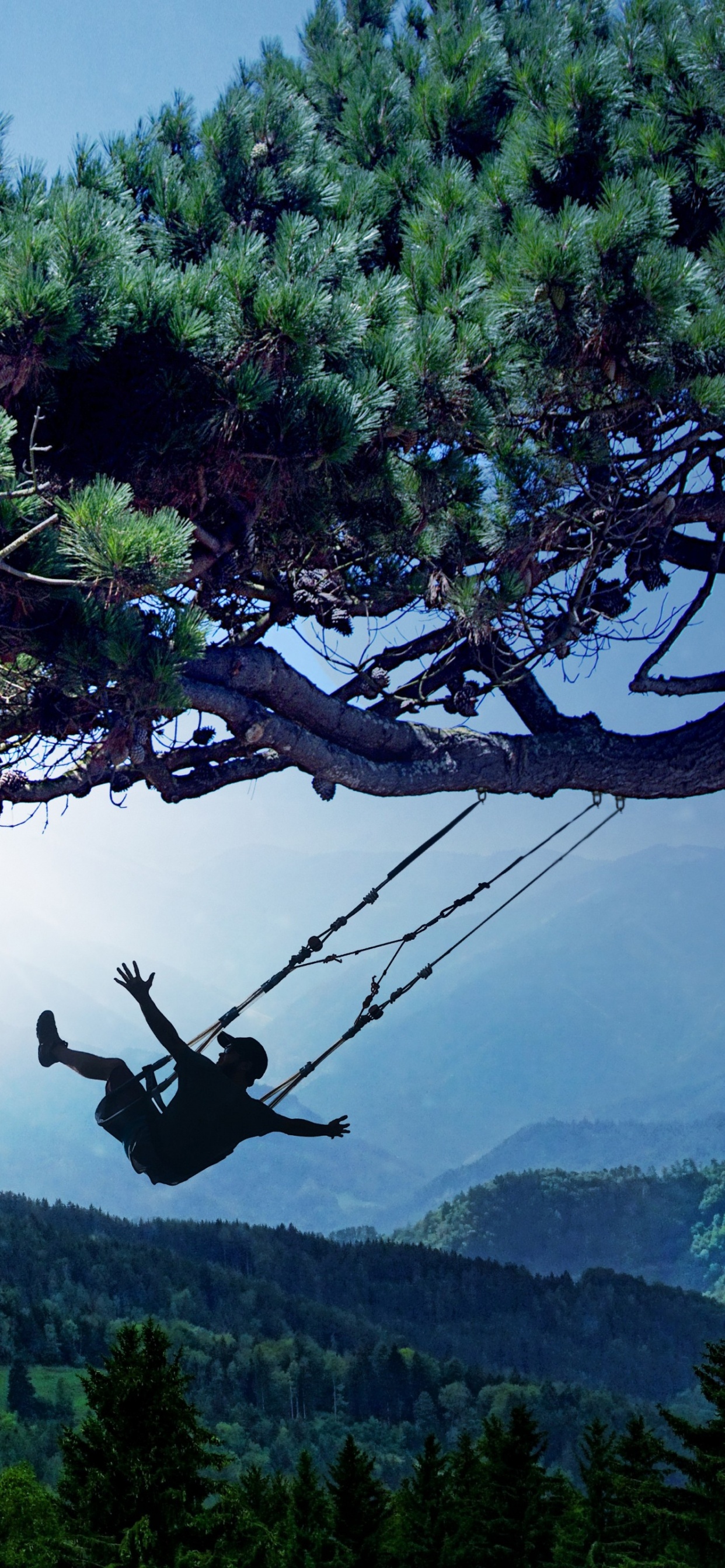 Cuerpo de Agua, Las Formaciones Montañosas, Naturaleza, la Vegetación, Sucursal. Wallpaper in 1242x2688 Resolution