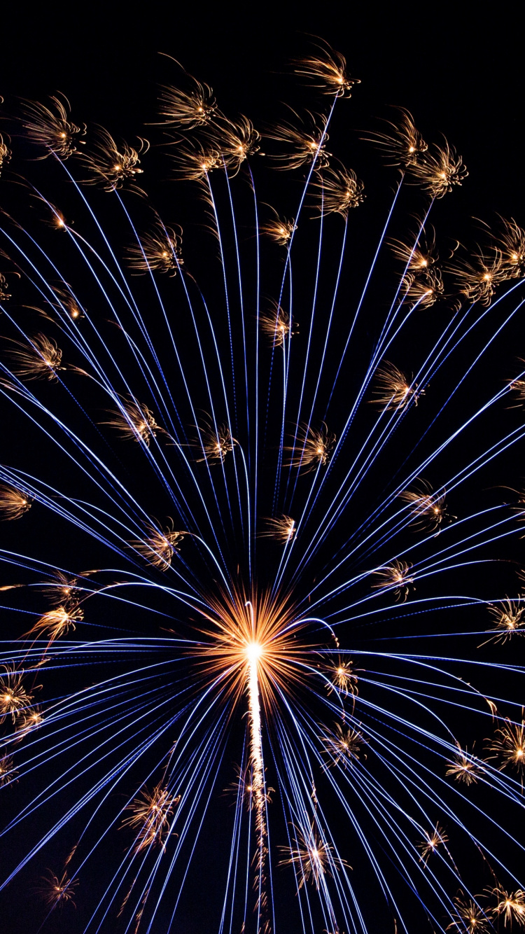 Fireworks, Darkness, Night, New Years Eve, Event. Wallpaper in 750x1334 Resolution