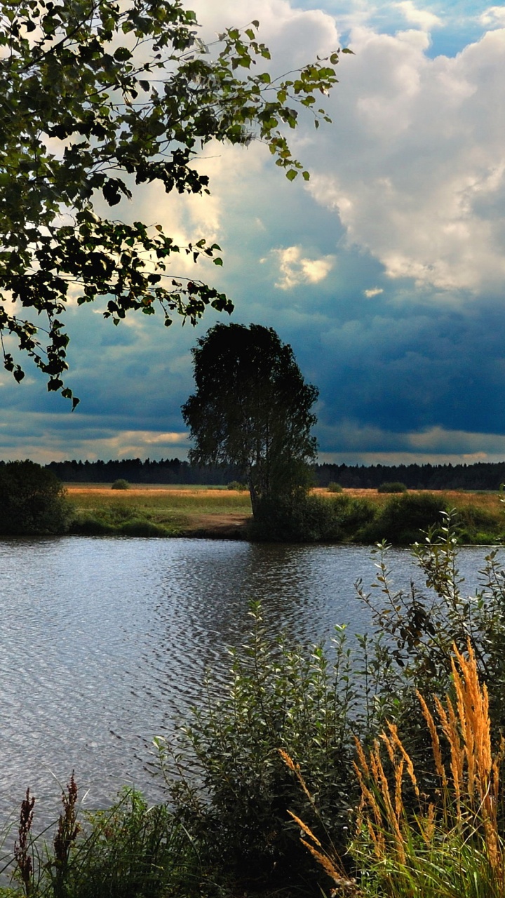 Champ D'herbe Verte Près du Lac Sous un Ciel Nuageux Pendant la Journée. Wallpaper in 720x1280 Resolution