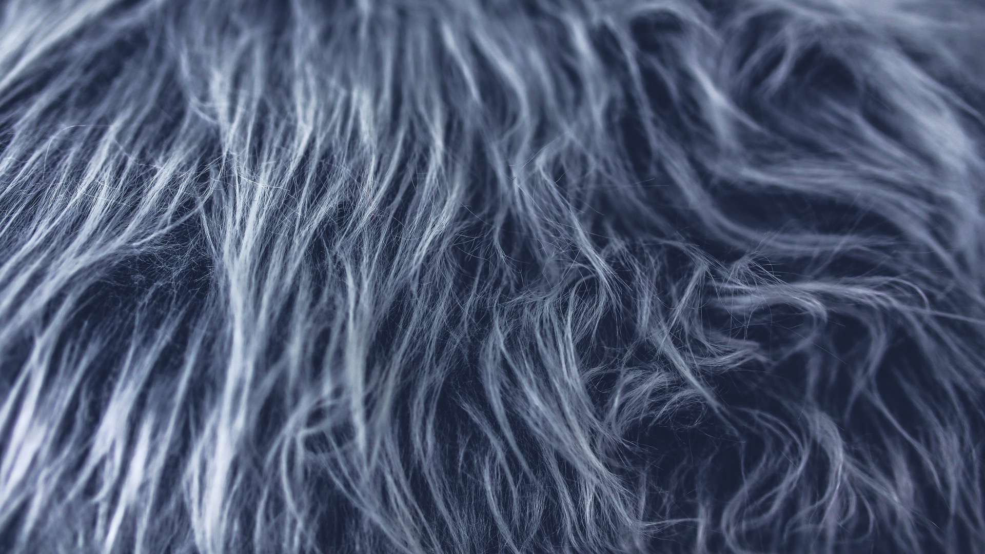 Black and White Fur Textile. Wallpaper in 1920x1080 Resolution
