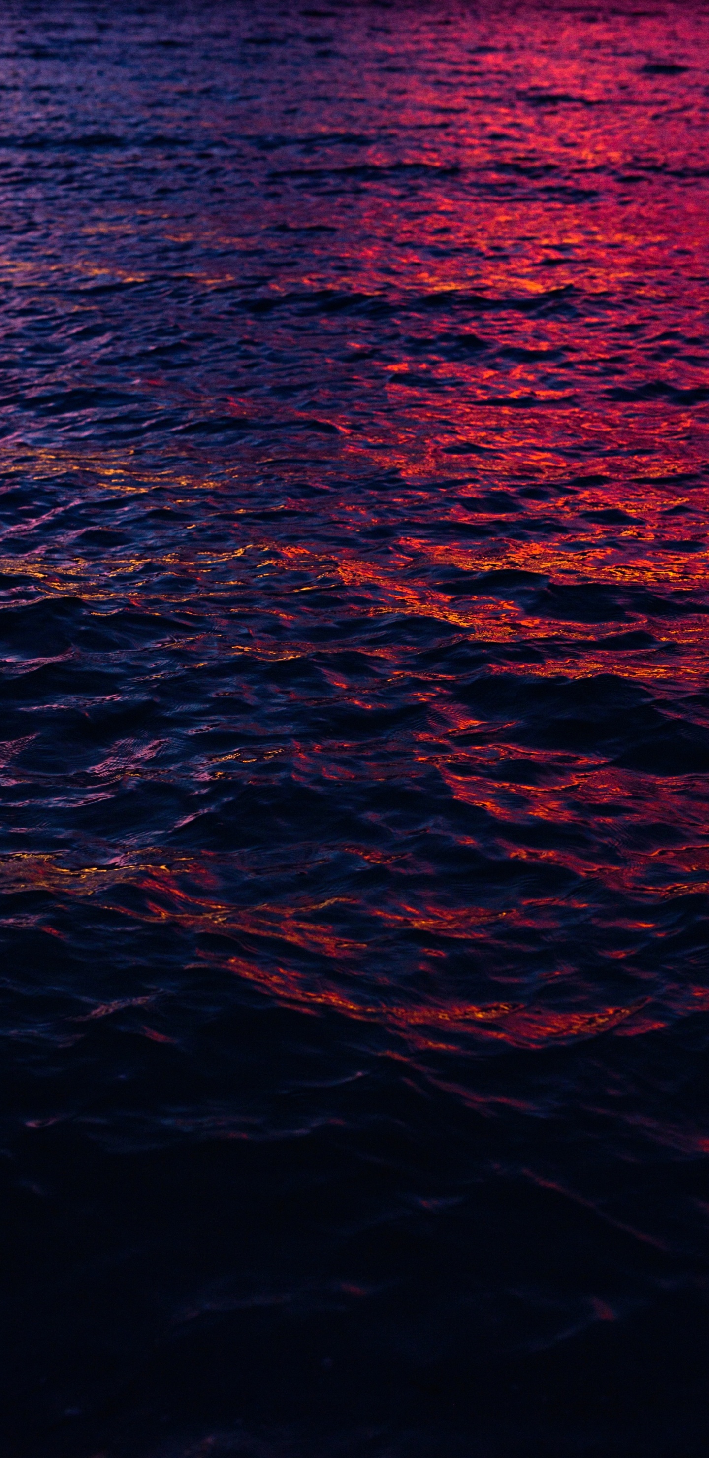 红色的, 大海, 地平线, 海洋, 反射 壁纸 1440x2960 允许