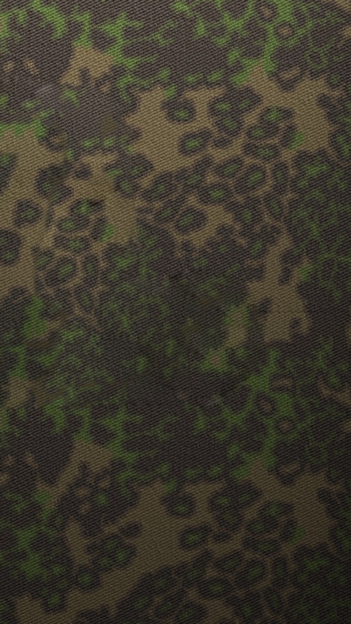 生物群落, 植被, 绿色的, 草, 森林 壁纸 720x1280 允许