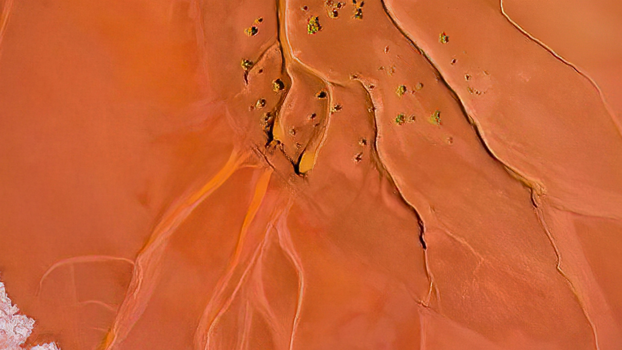 Orange, Plant, Art, Tints and Shades, Paint. Wallpaper in 1280x720 Resolution