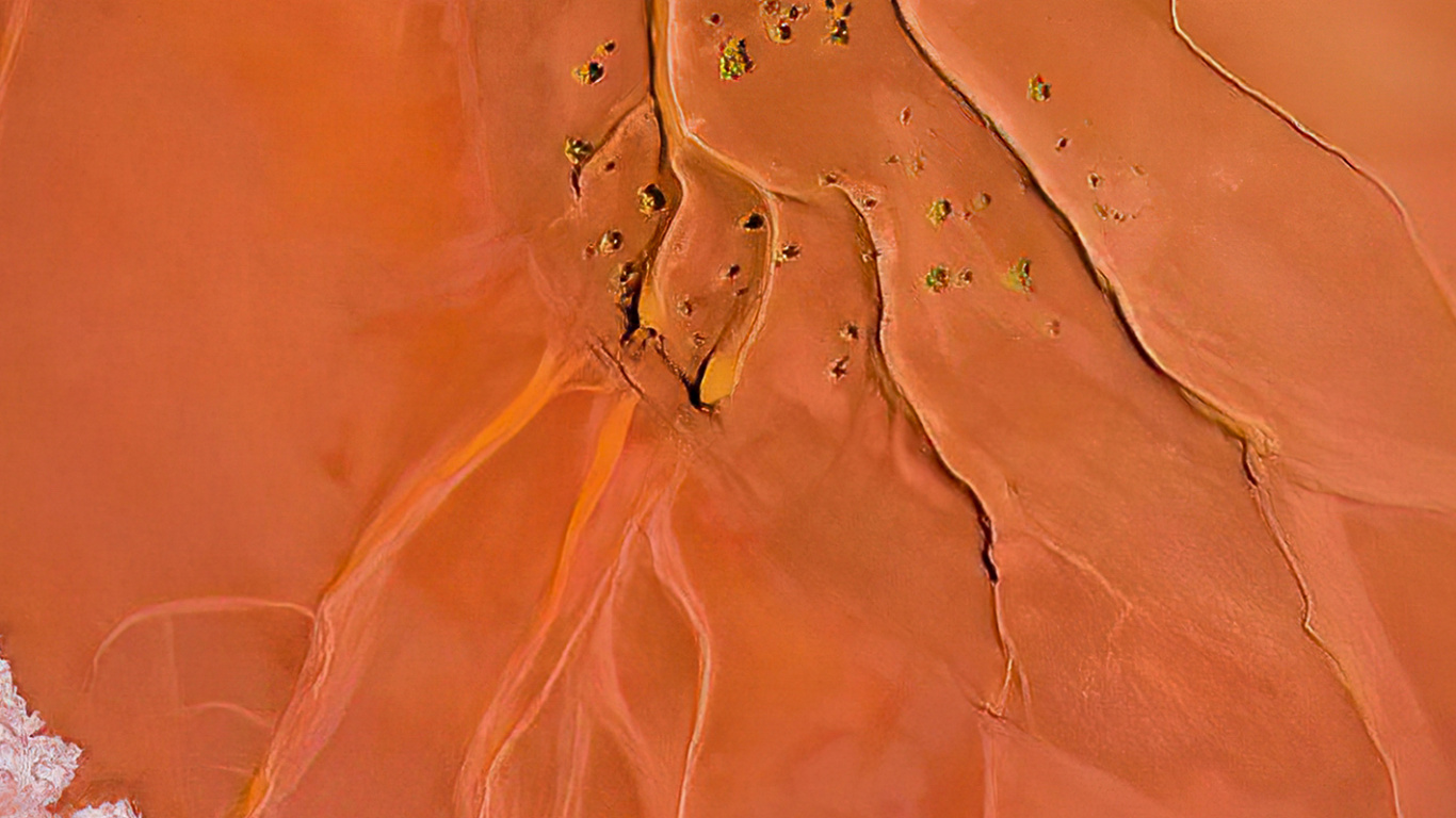 Orange, Plant, Art, Tints and Shades, Paint. Wallpaper in 1366x768 Resolution