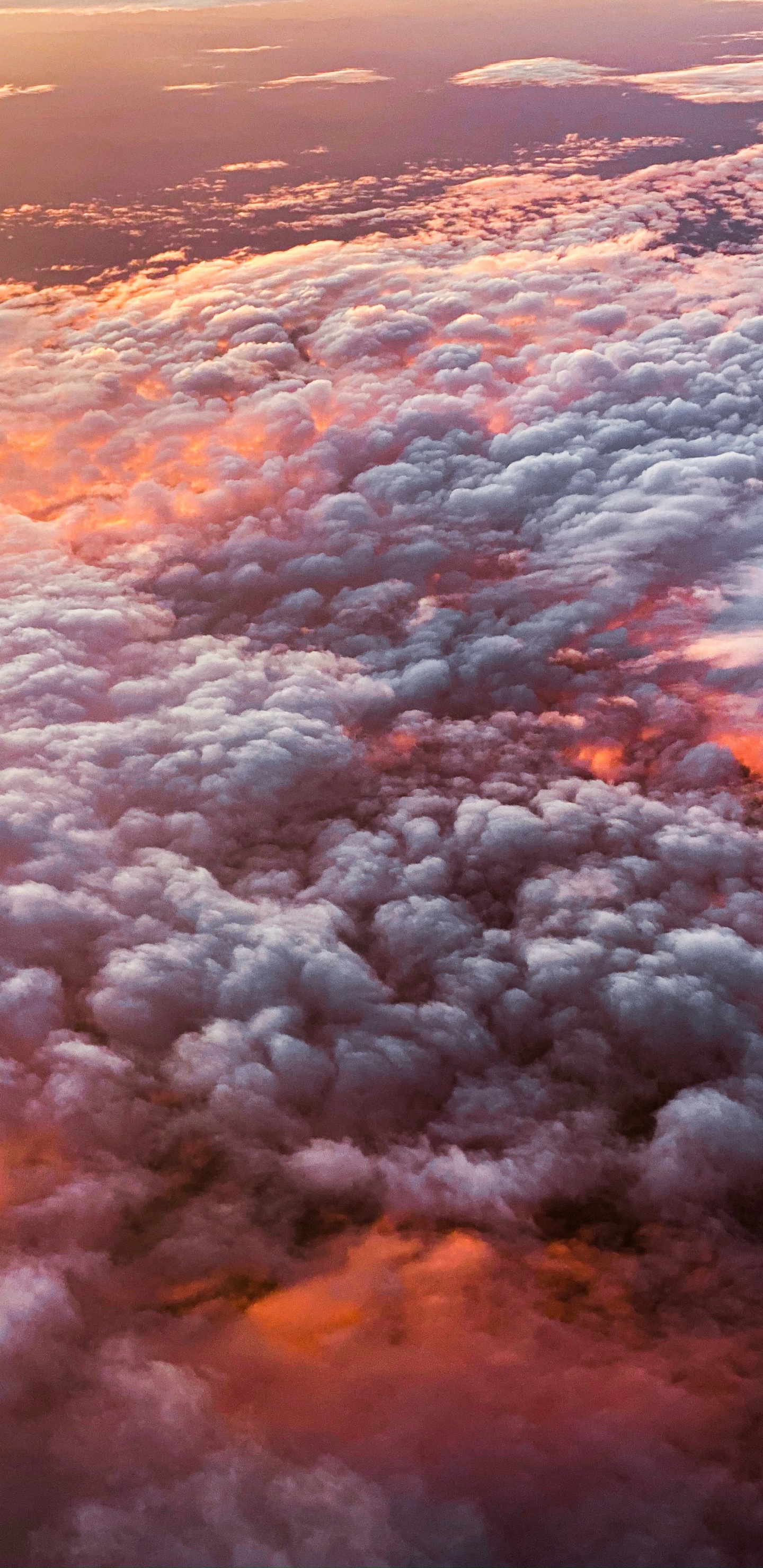 Atmosphère, Orange, Horizon, Ciel, Cumulus. Wallpaper in 1440x2960 Resolution