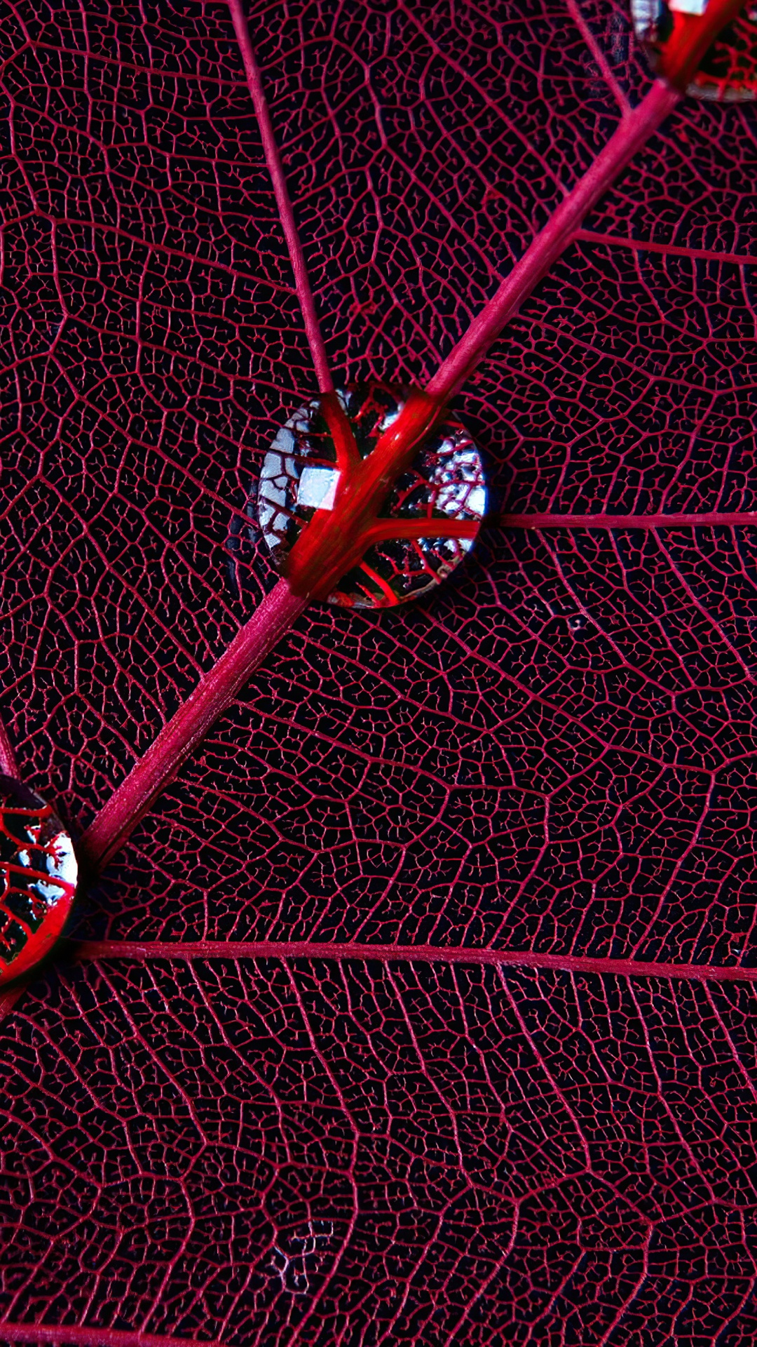 Circulo, Diseño Gráfico, Agua, Textil, Morado. Wallpaper in 1080x1920 Resolution