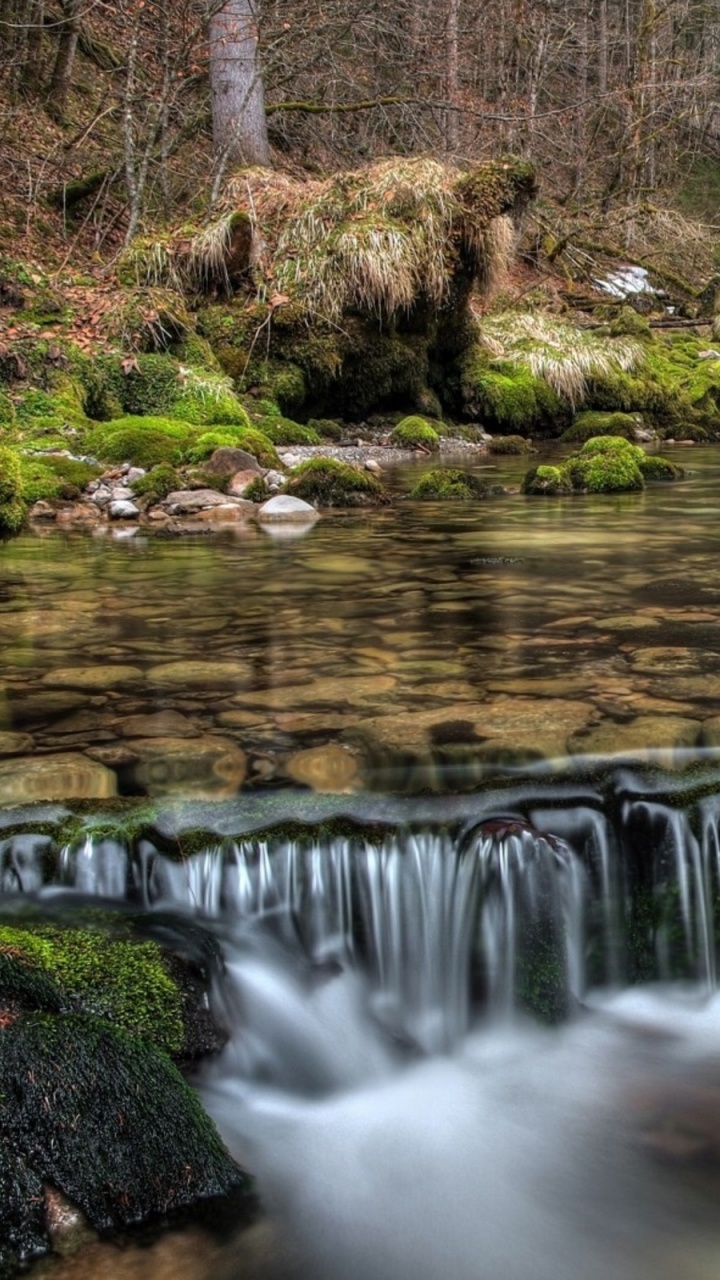 el Agua Cae en el Bosque. Wallpaper in 720x1280 Resolution