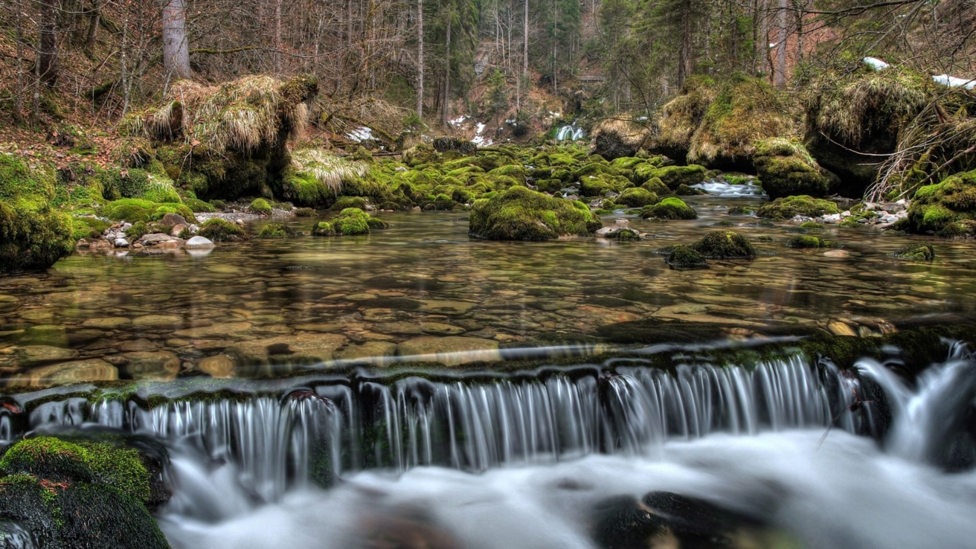 Wasser Fällt im Wald. Wallpaper in 1920x1080 Resolution