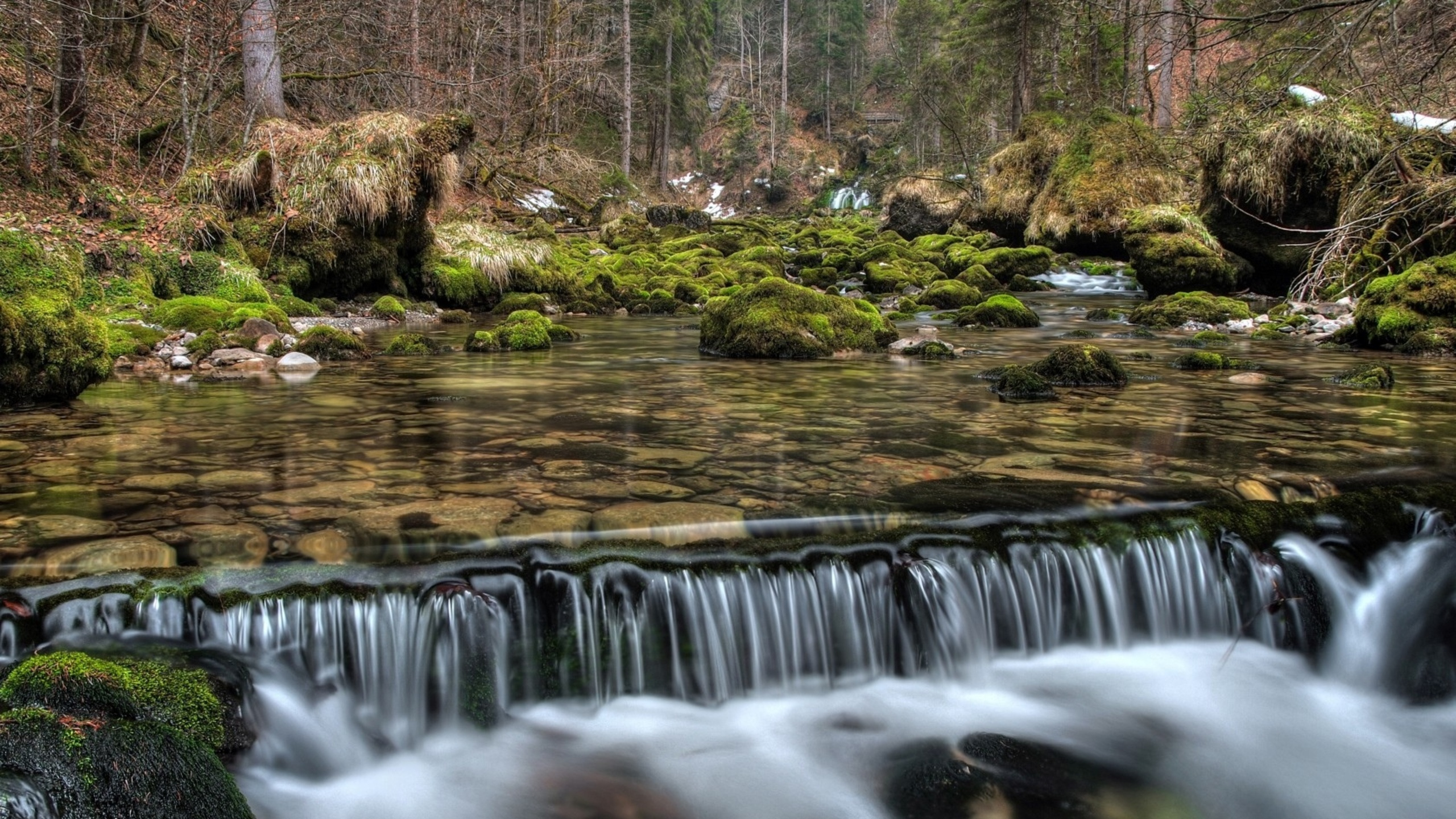 Wasser Fällt im Wald. Wallpaper in 2560x1440 Resolution