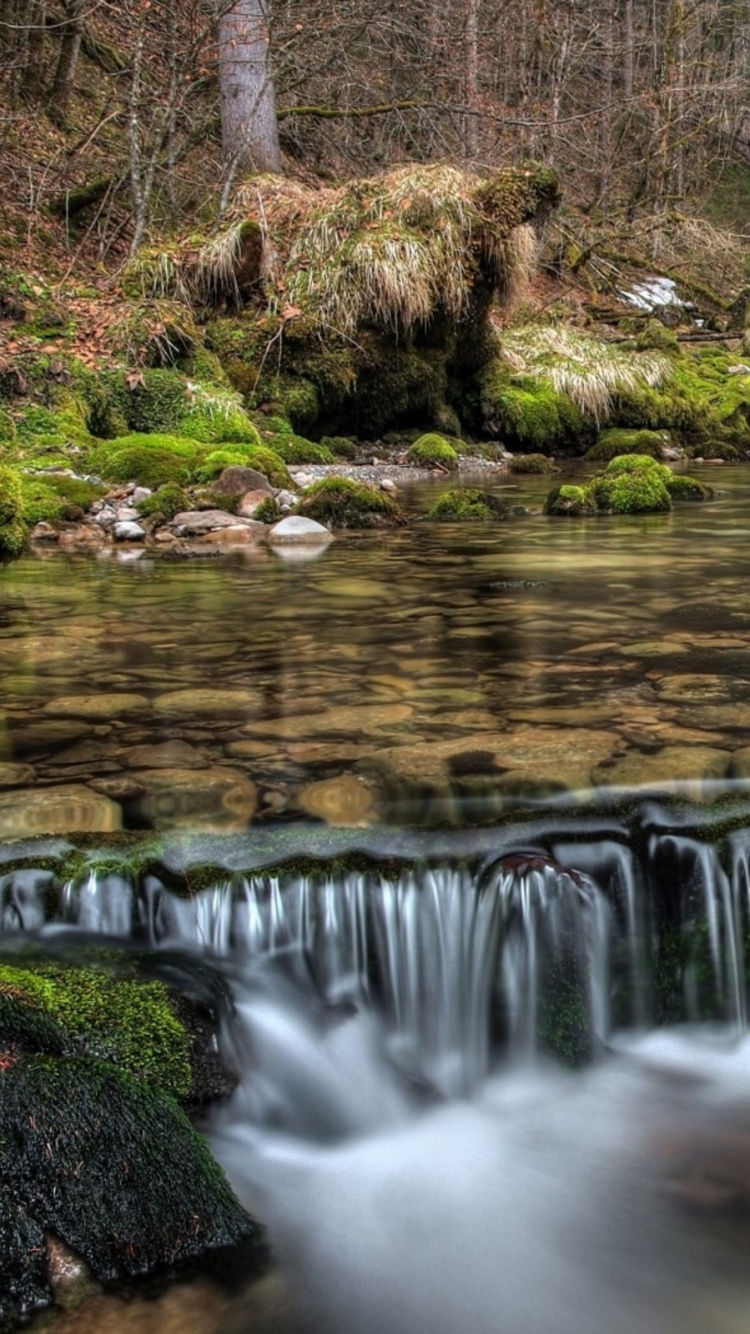 Wasser Fällt im Wald. Wallpaper in 750x1334 Resolution