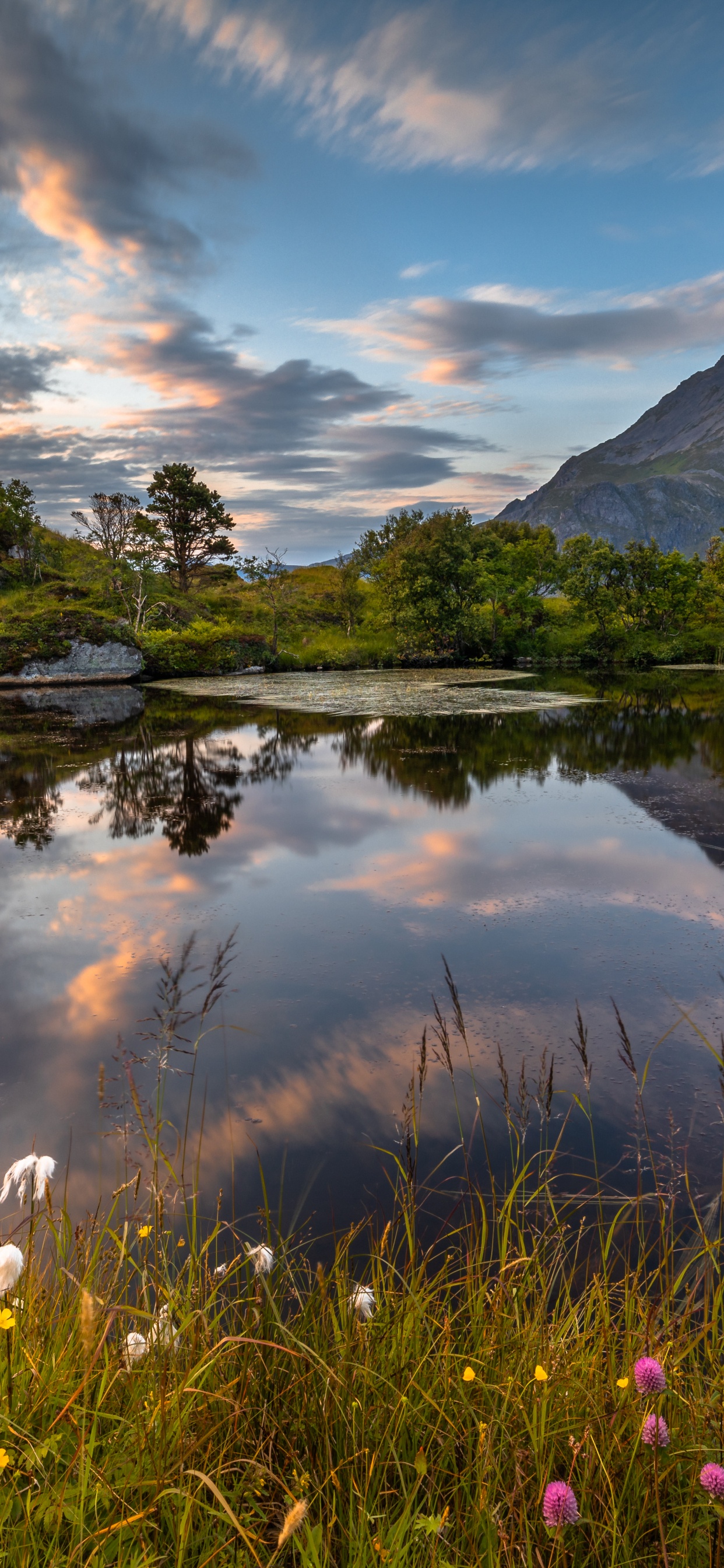 Fredvang Bridges, Nature, Ramberg, Cloud, Natural Landscape. Wallpaper in 1242x2688 Resolution