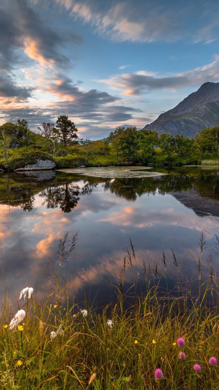Fredvang Bridges, Nature, Ramberg, Cloud, Natural Landscape. Wallpaper in 720x1280 Resolution
