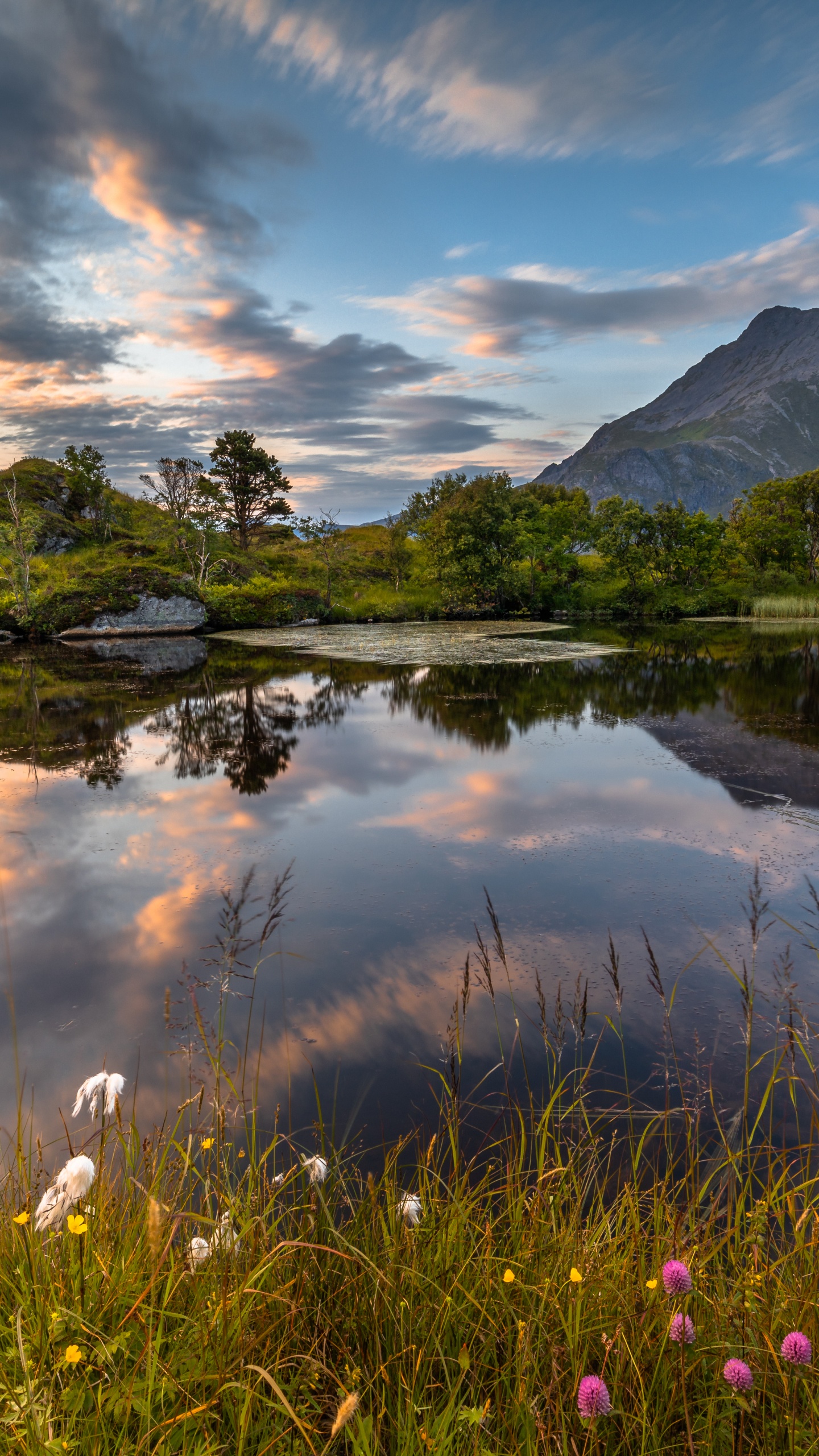 Nature, Paysage Naturel, Lac, Environnement Naturel, Fredvang. Wallpaper in 1440x2560 Resolution