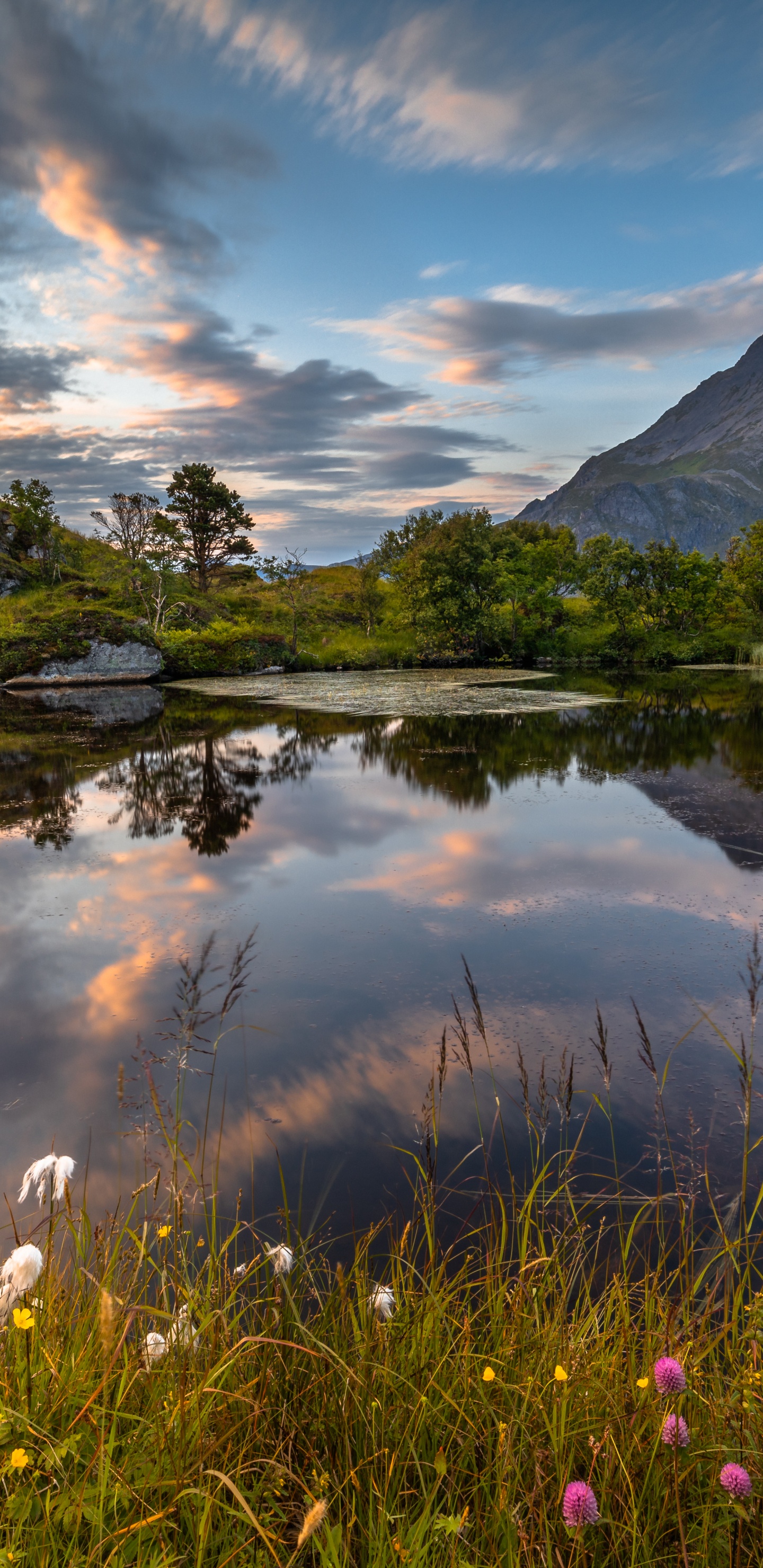 Nature, Paysage Naturel, Lac, Environnement Naturel, Fredvang. Wallpaper in 1440x2960 Resolution