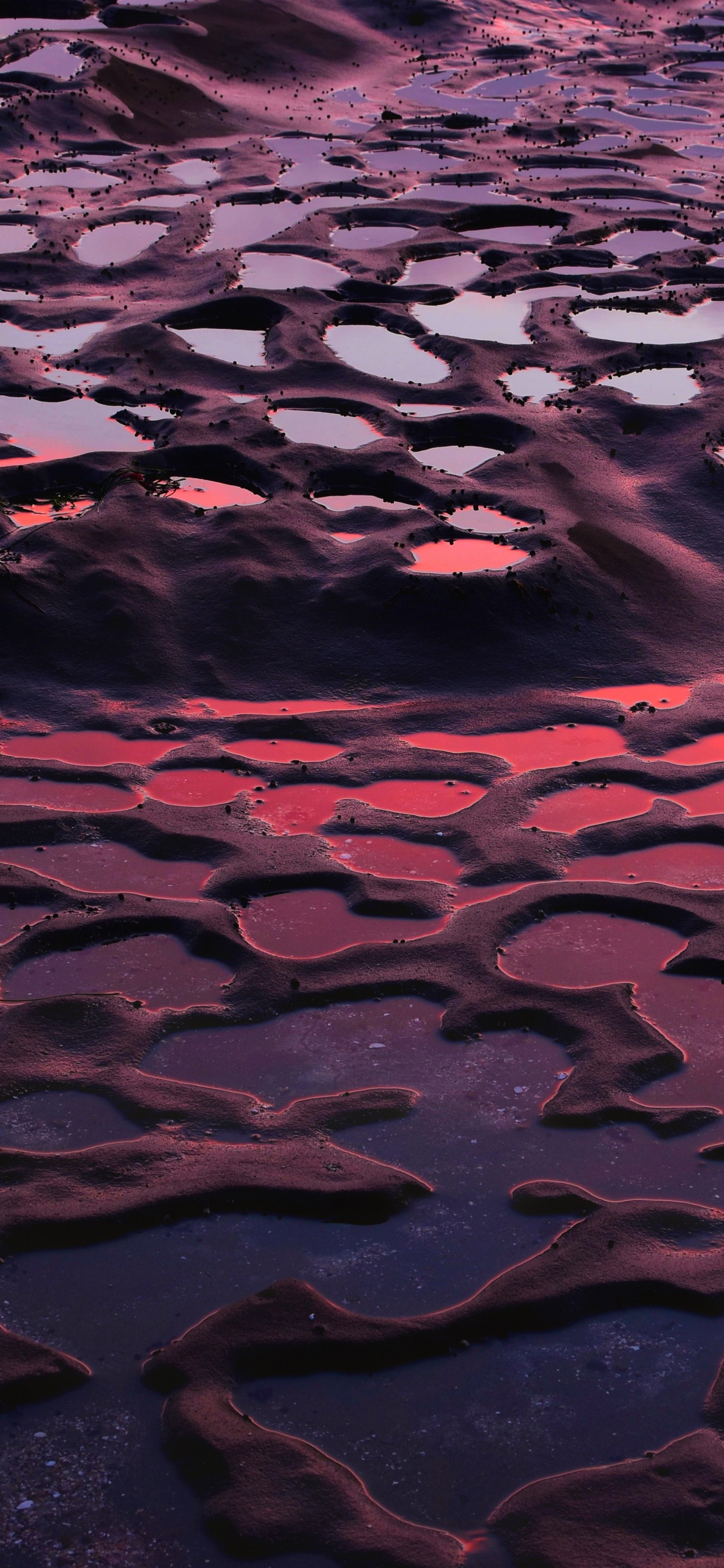 Water, Purple, Red, Reflection, Pink. Wallpaper in 1125x2436 Resolution