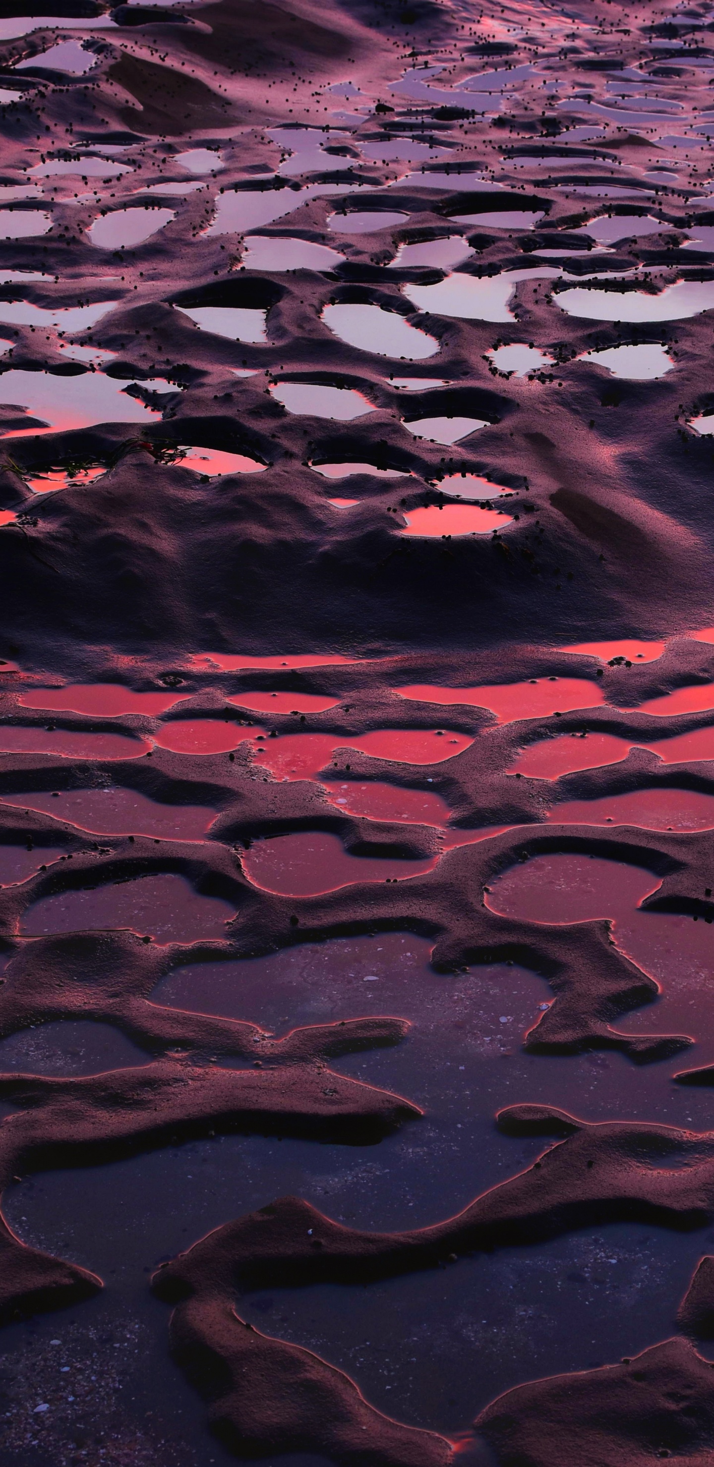 Wasser, Purpur, Reflexion, Pink, Muster. Wallpaper in 1440x2960 Resolution