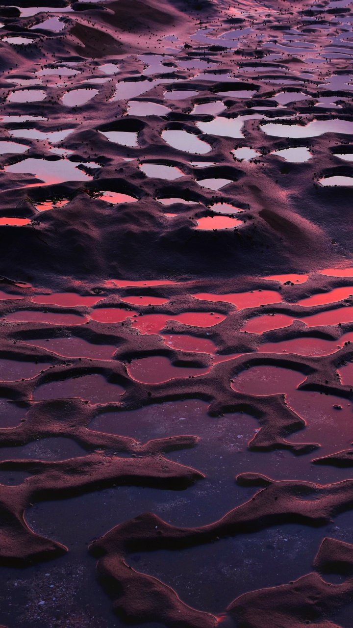 Wasser, Purpur, Reflexion, Pink, Muster. Wallpaper in 720x1280 Resolution