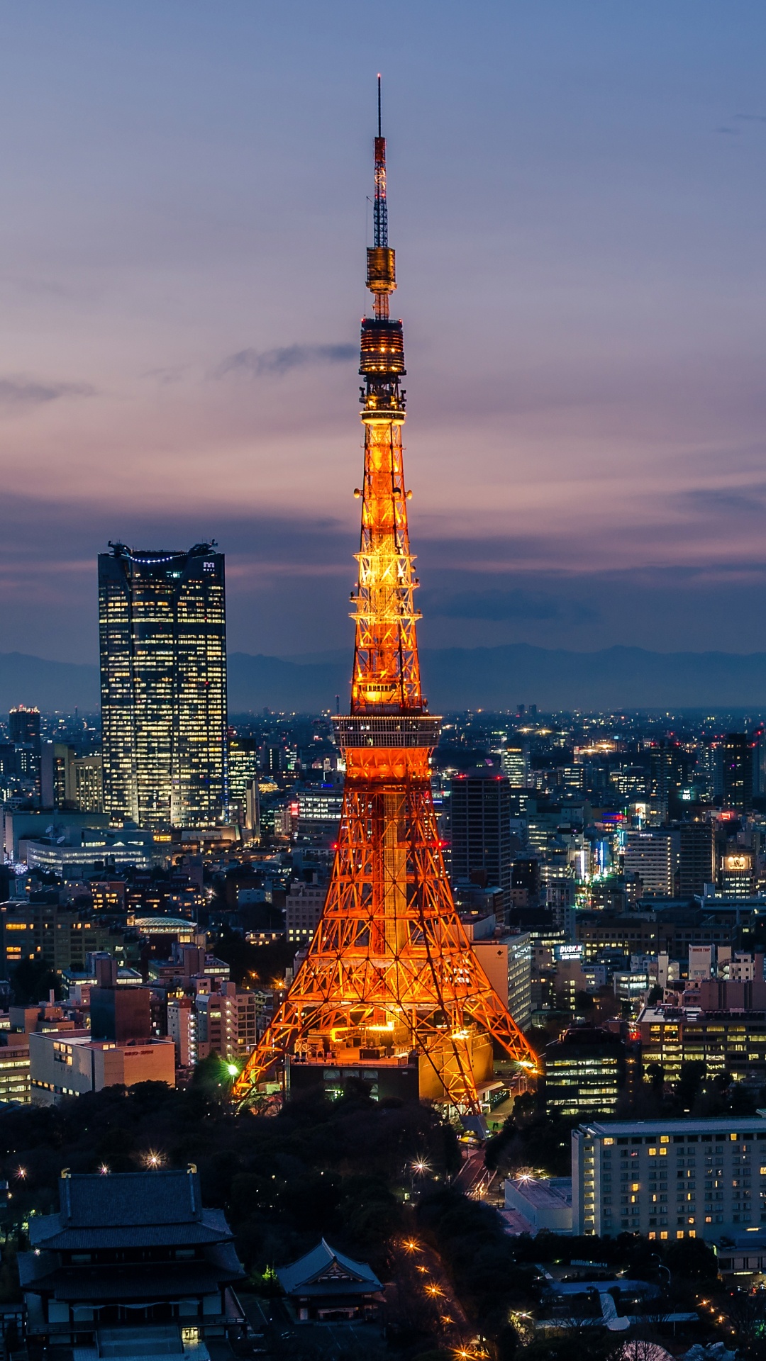 Eiffel Tower in Paris During Night Time. Wallpaper in 1080x1920 Resolution