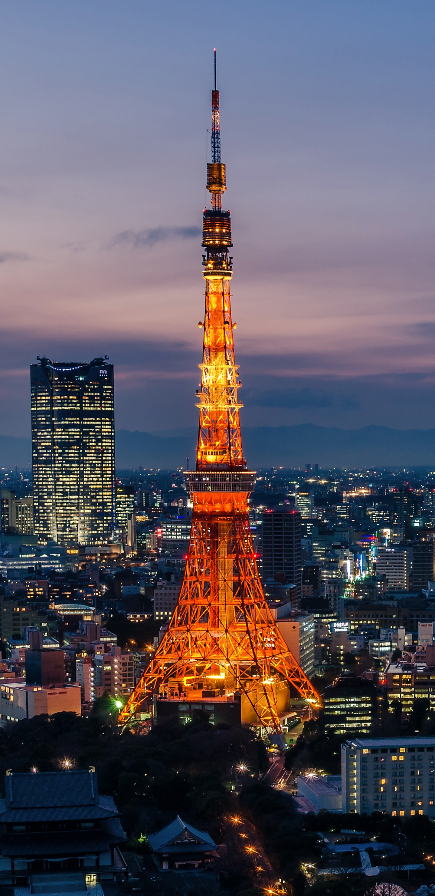 Eiffel Tower in Paris During Night Time. Wallpaper in 1440x2960 Resolution