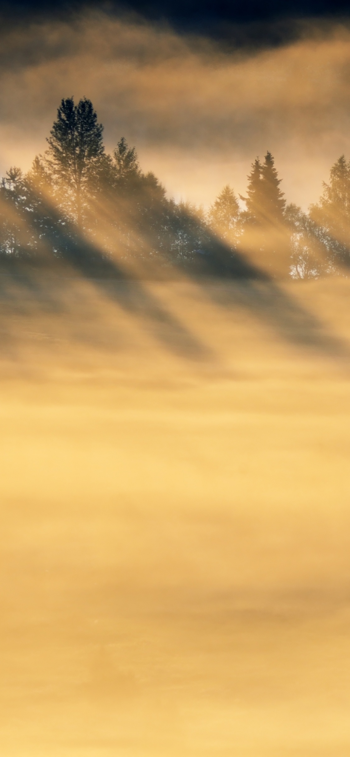 Arbres Verts Sous un Ciel Nuageux Pendant la Journée. Wallpaper in 1125x2436 Resolution